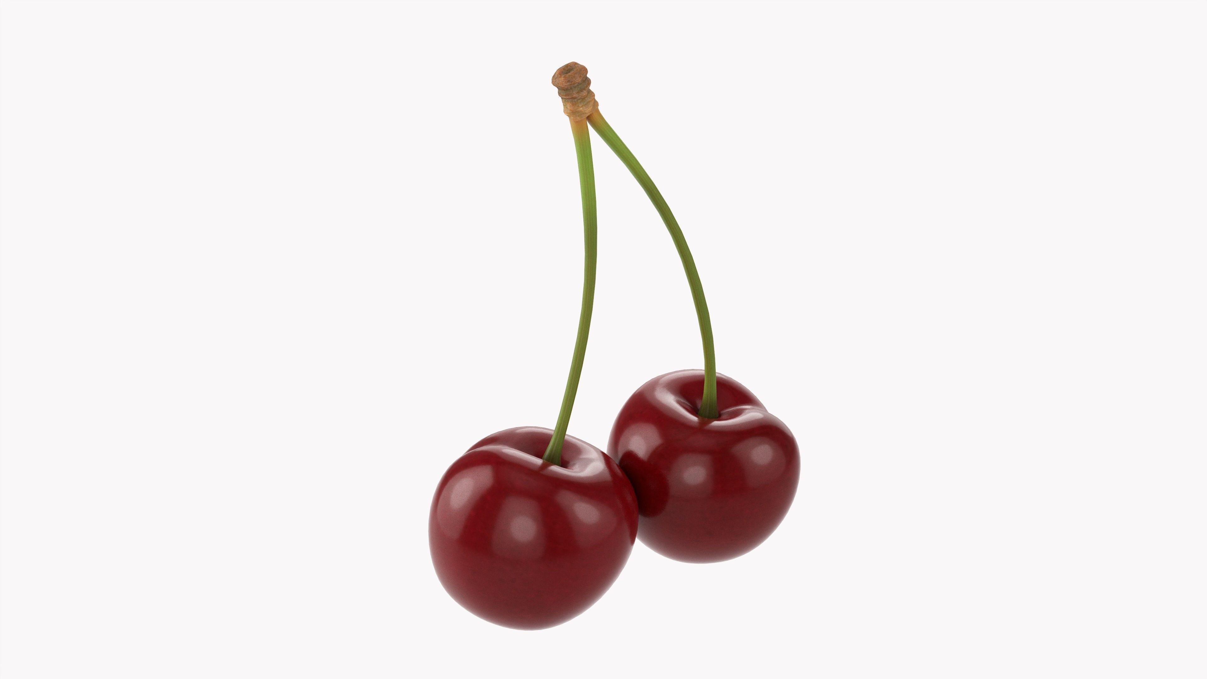 Double cherry  3D model_1