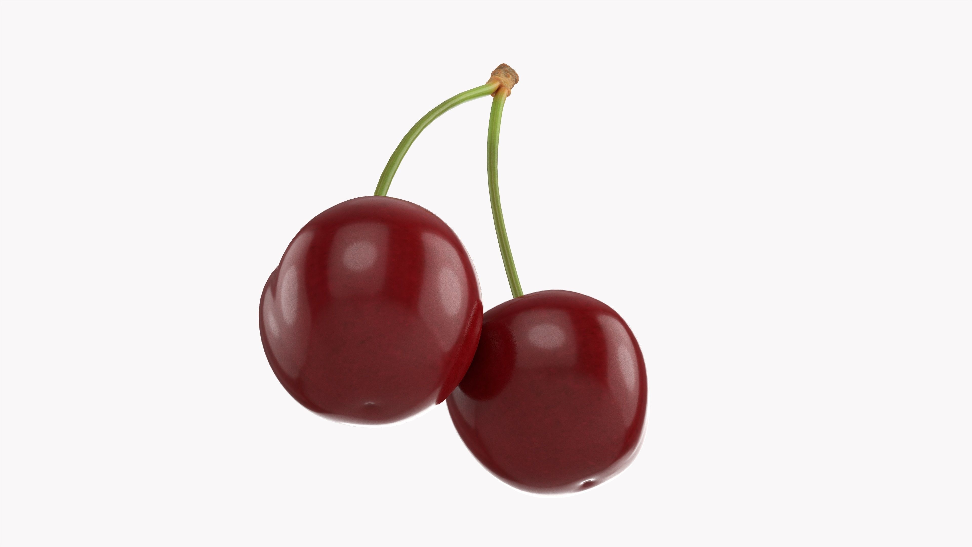 Double cherry  3D model_2