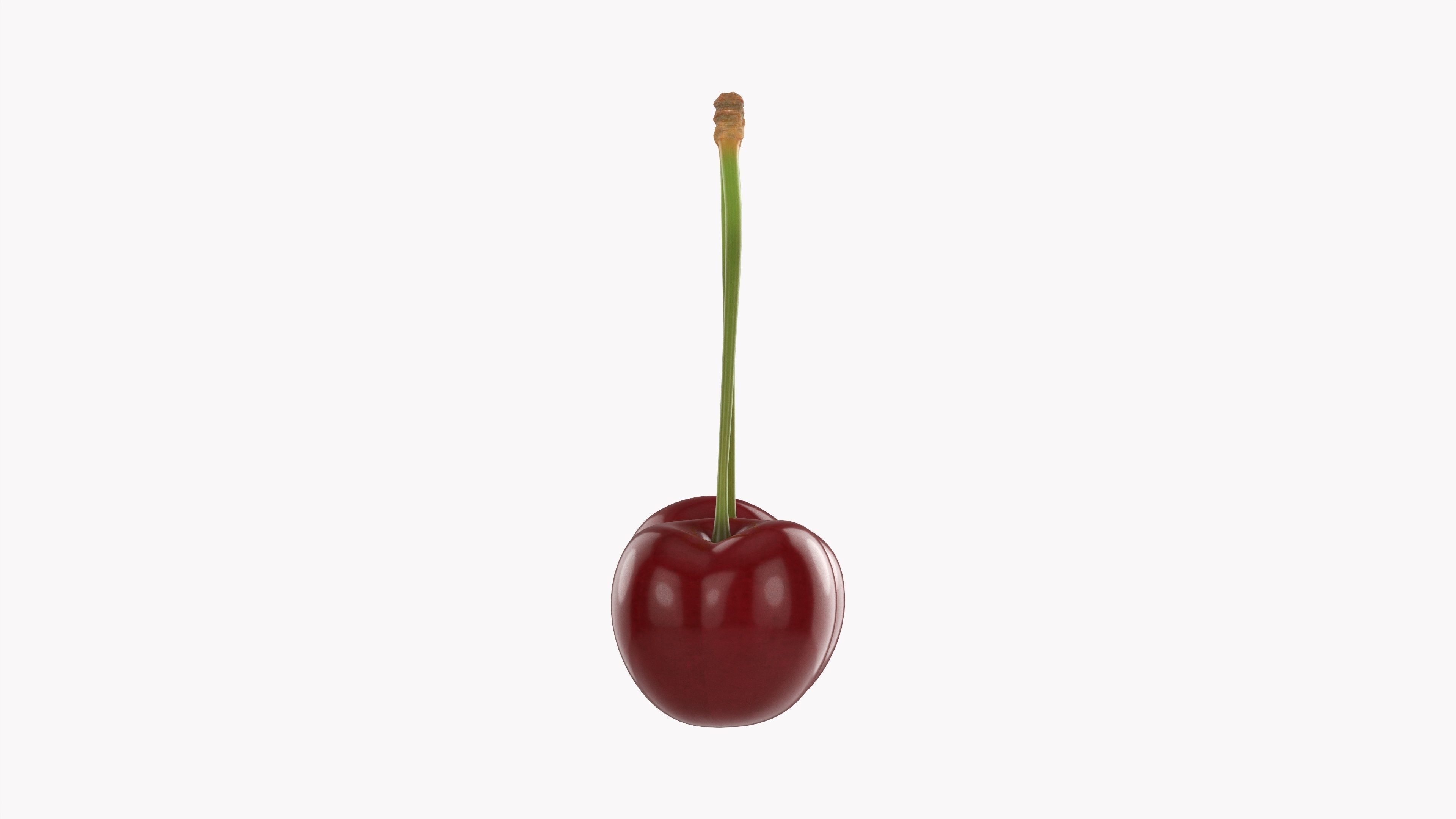Double cherry  3D model_4