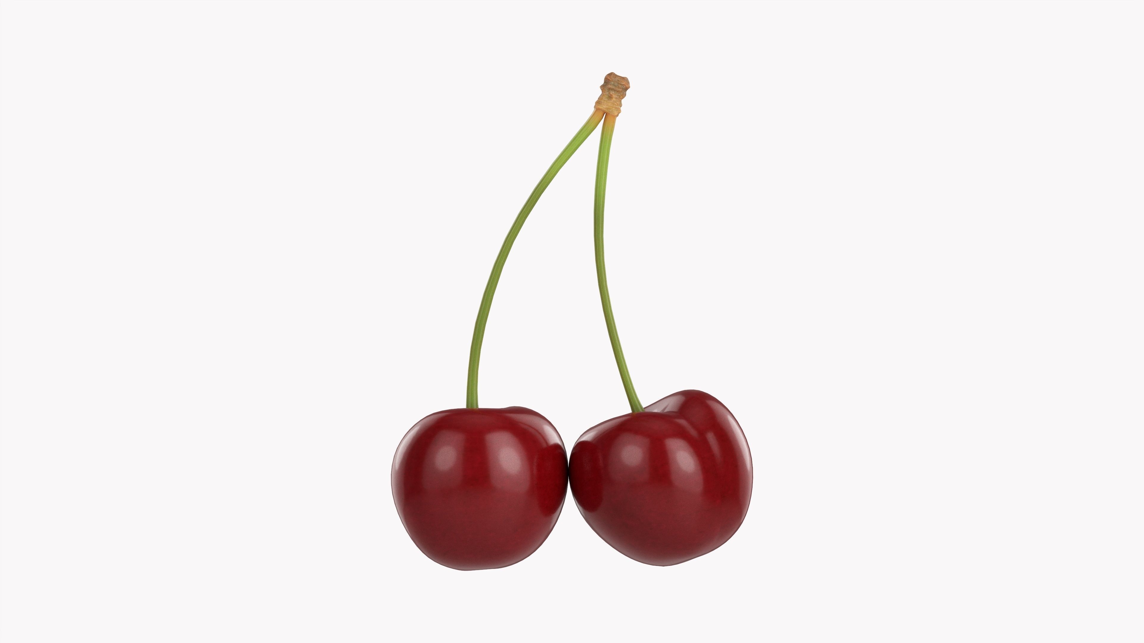 Double cherry  3D model_3