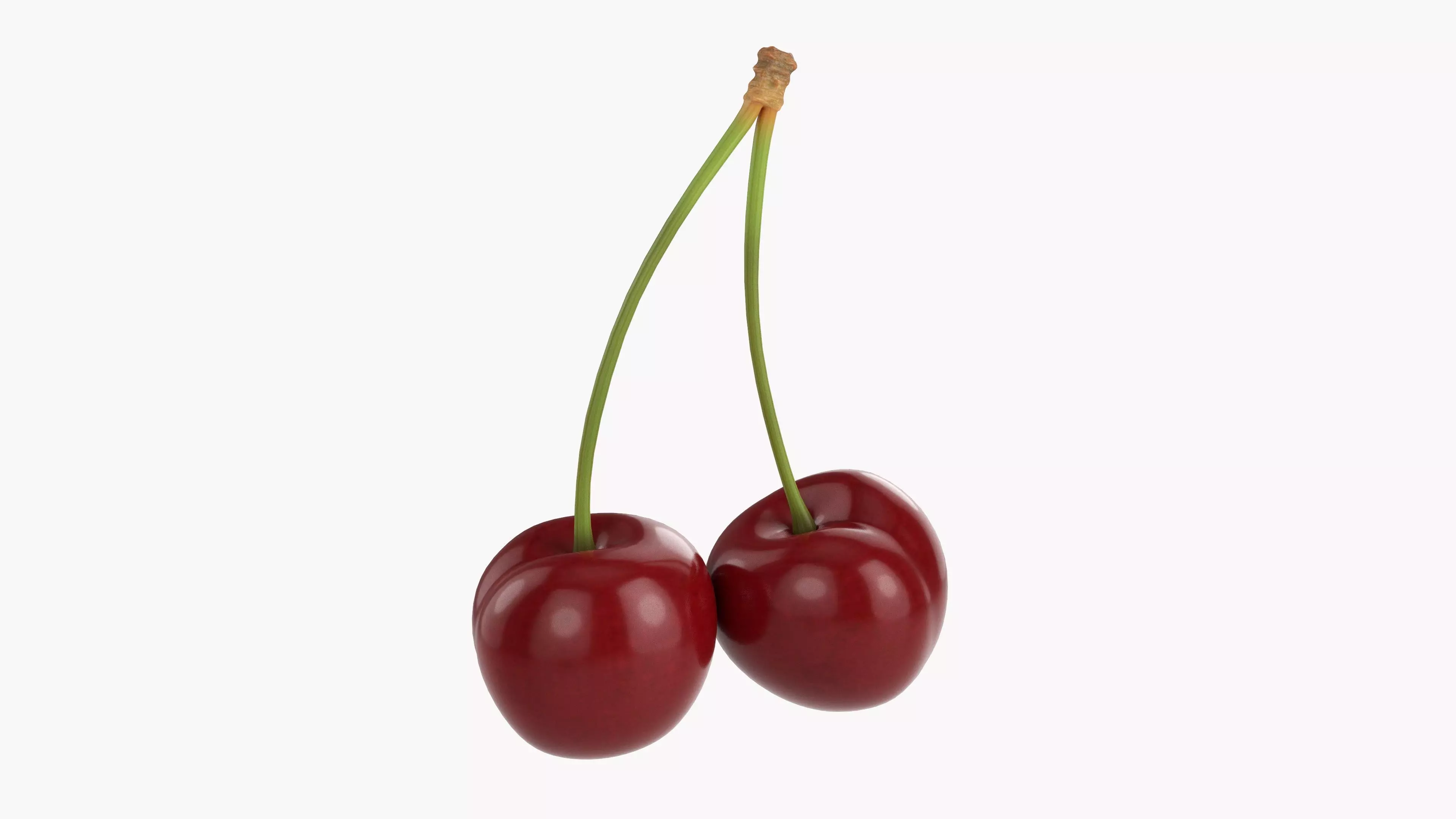 Double cherry  3D model_0