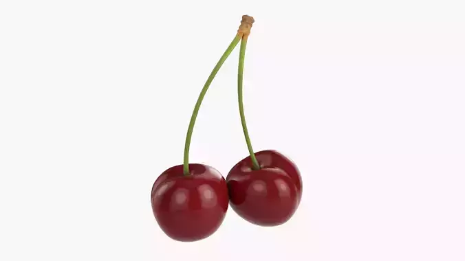 Double cherry  3D model