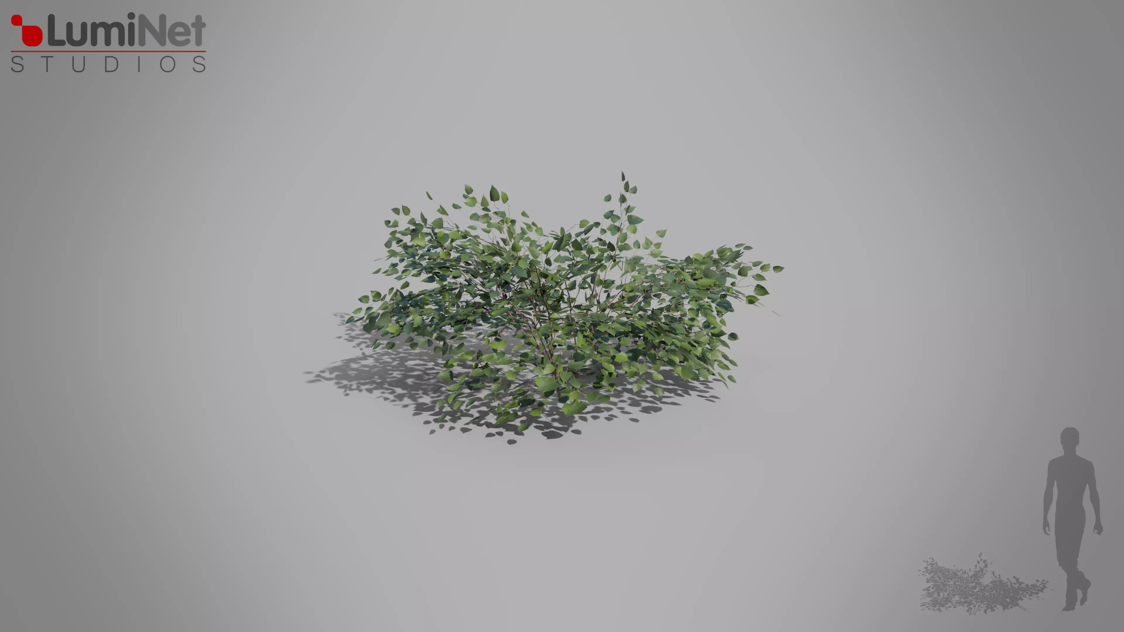 Bush 04 European foliage 3 of 20 Low-poly 3D model Low-poly 3D model_0