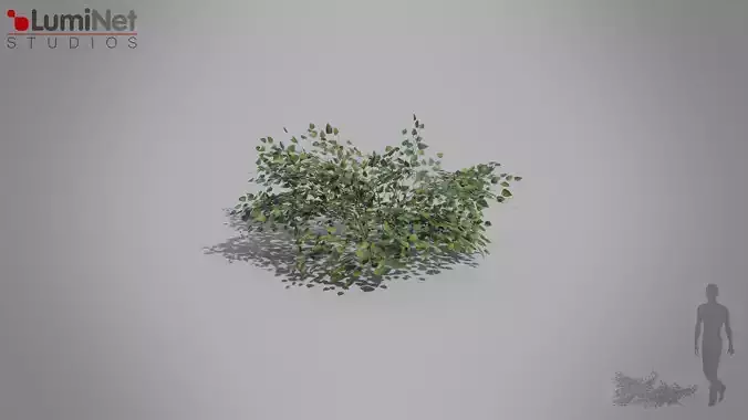 Bush 04 European foliage 3 of 20 Low-poly 3D model Low-poly 3D model