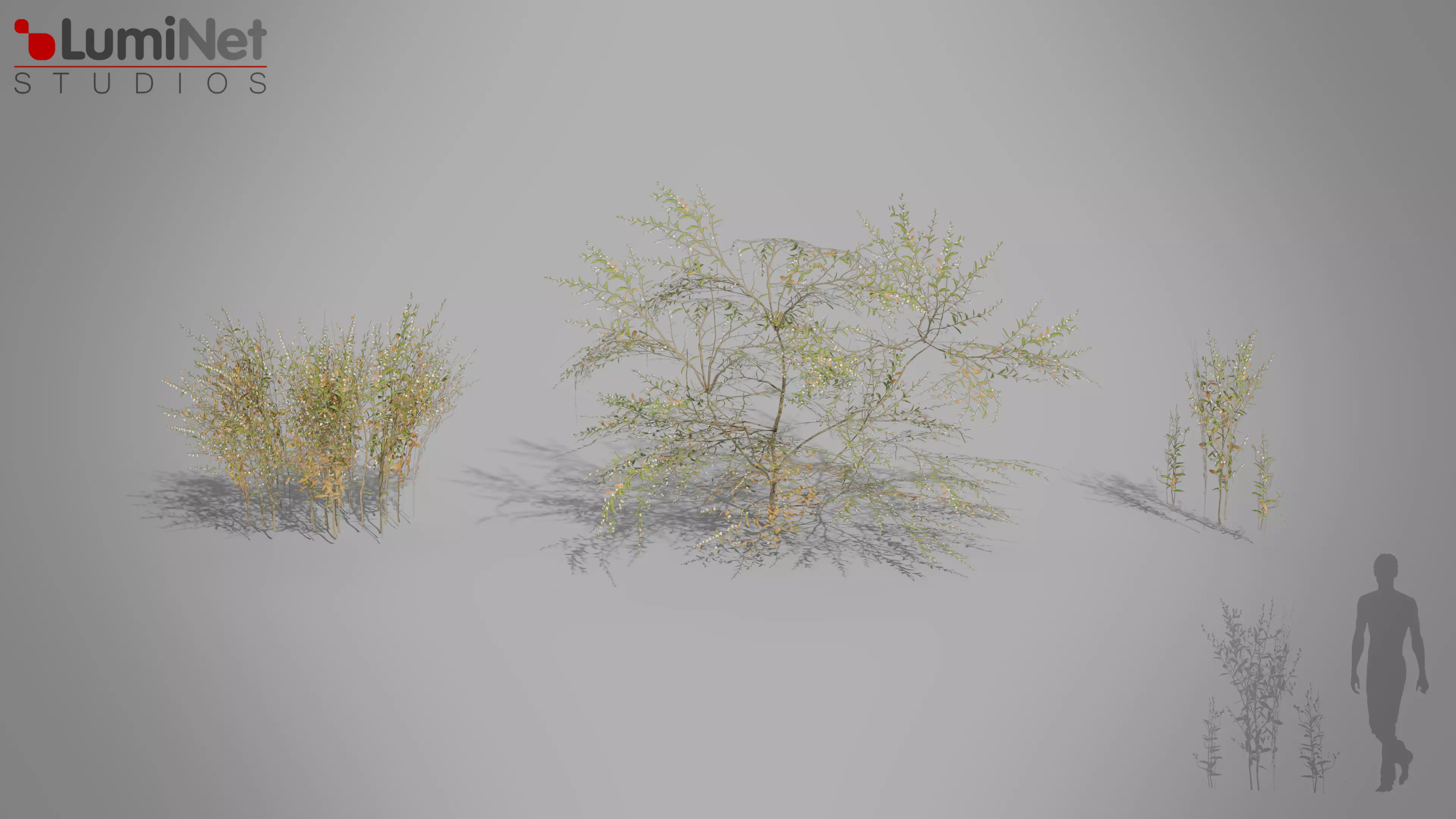 Bush 03 European foliage 4 of 20 Low-poly 3D model Low-poly 3D model_0