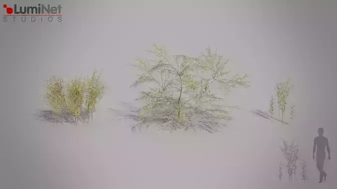 Bush 03 European foliage 4 of 20 Low-poly 3D model Low-poly 3D model