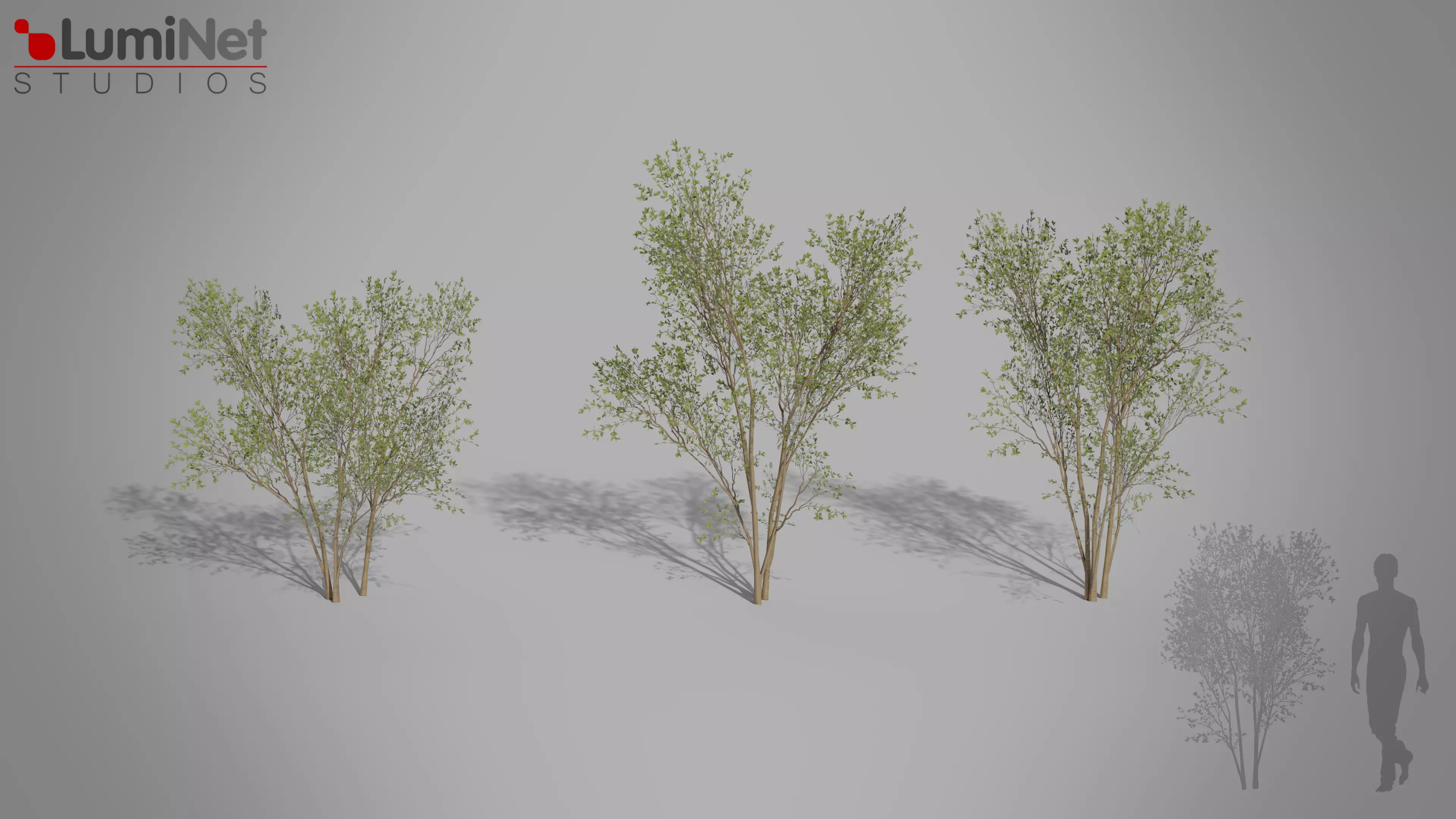 Bush 02 European foliage 5 of 20 Low-poly 3D model Low-poly 3D model_0