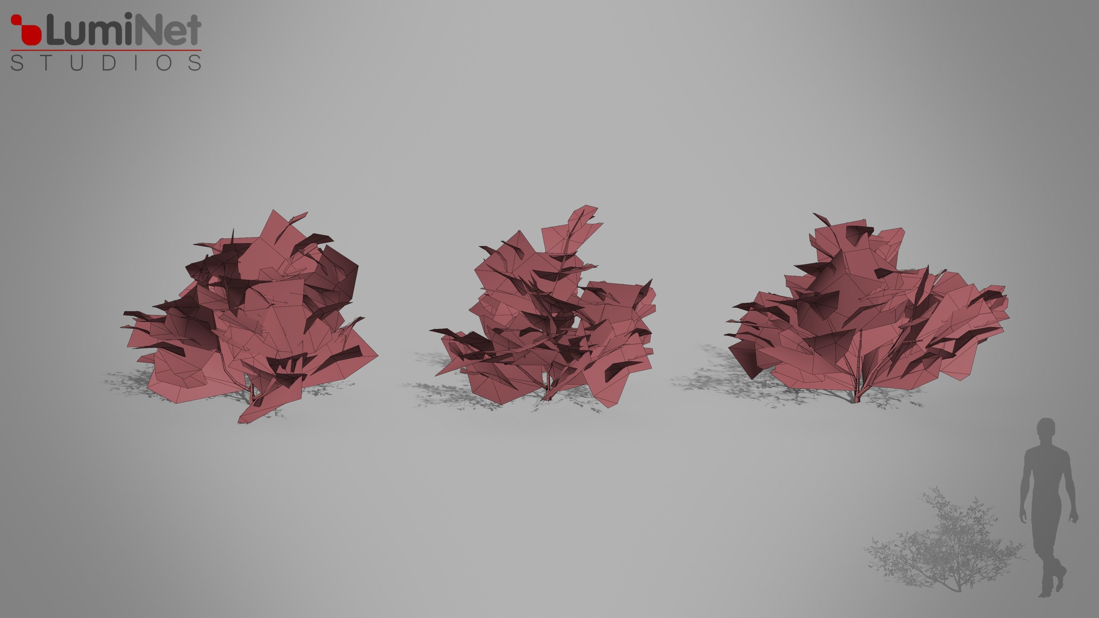 Bush 01 European foliage 6 of 20 Low-poly 3D model Low-poly 3D model_1