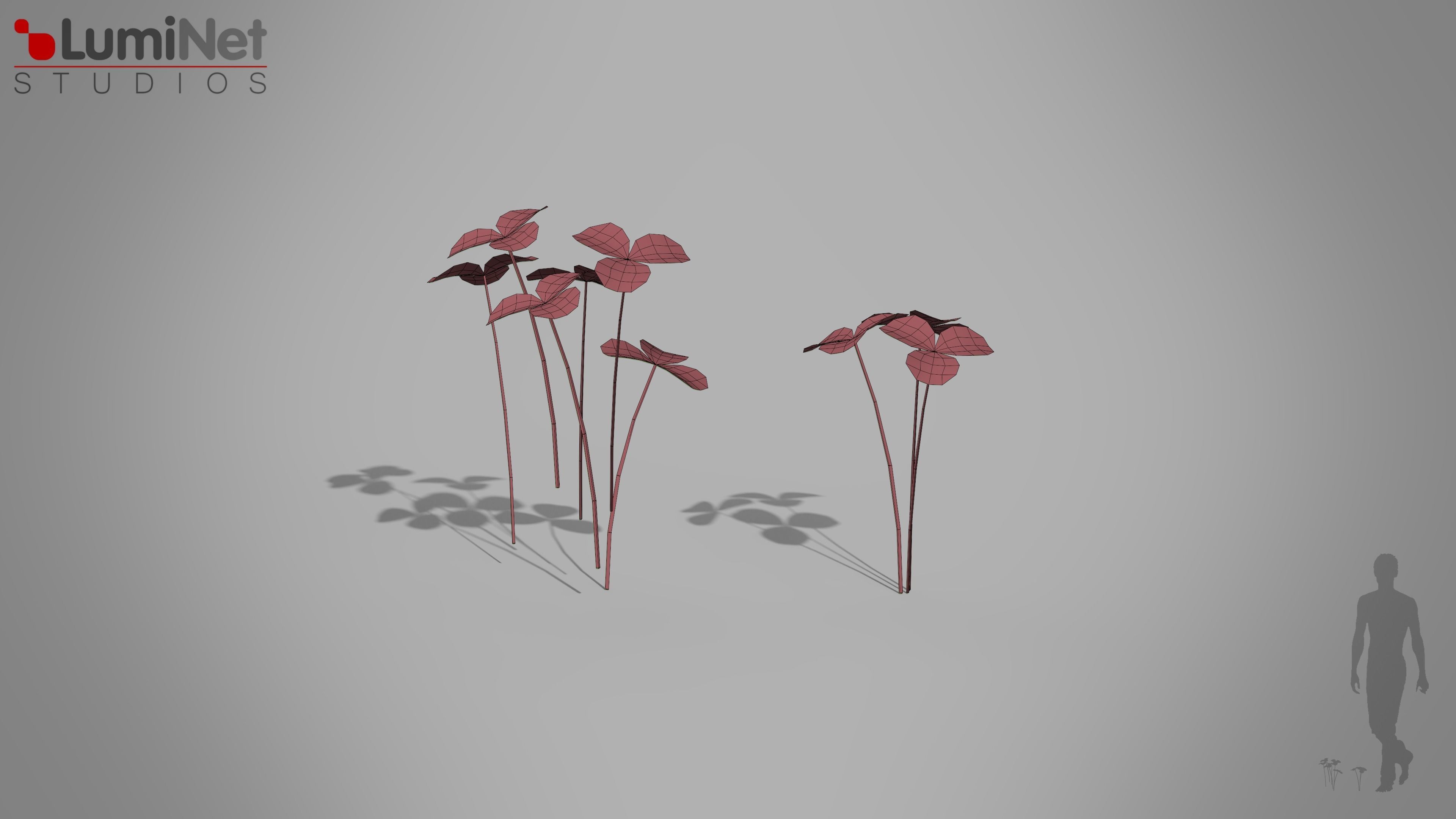 Clover European foliage 8 of 20 Low-poly 3D model Low-poly 3D model_1