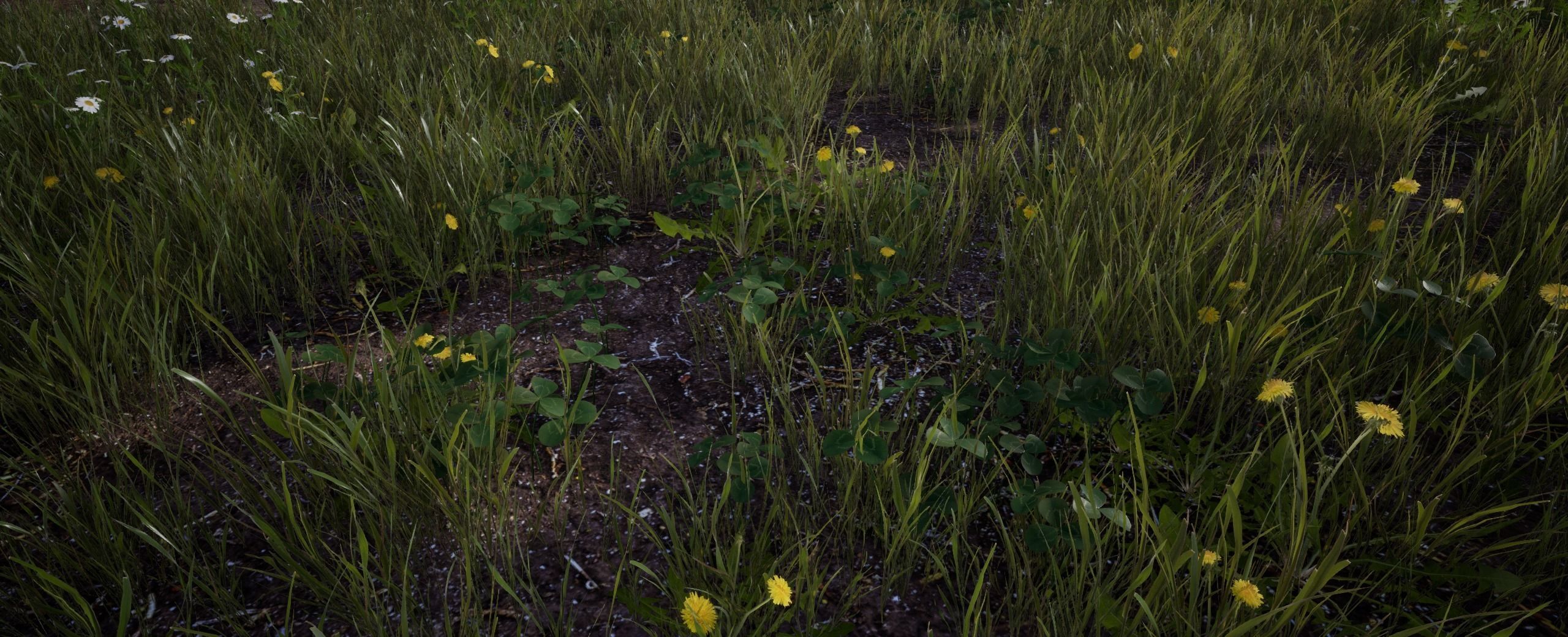 Clover European foliage 8 of 20 Low-poly 3D model Low-poly 3D model_5