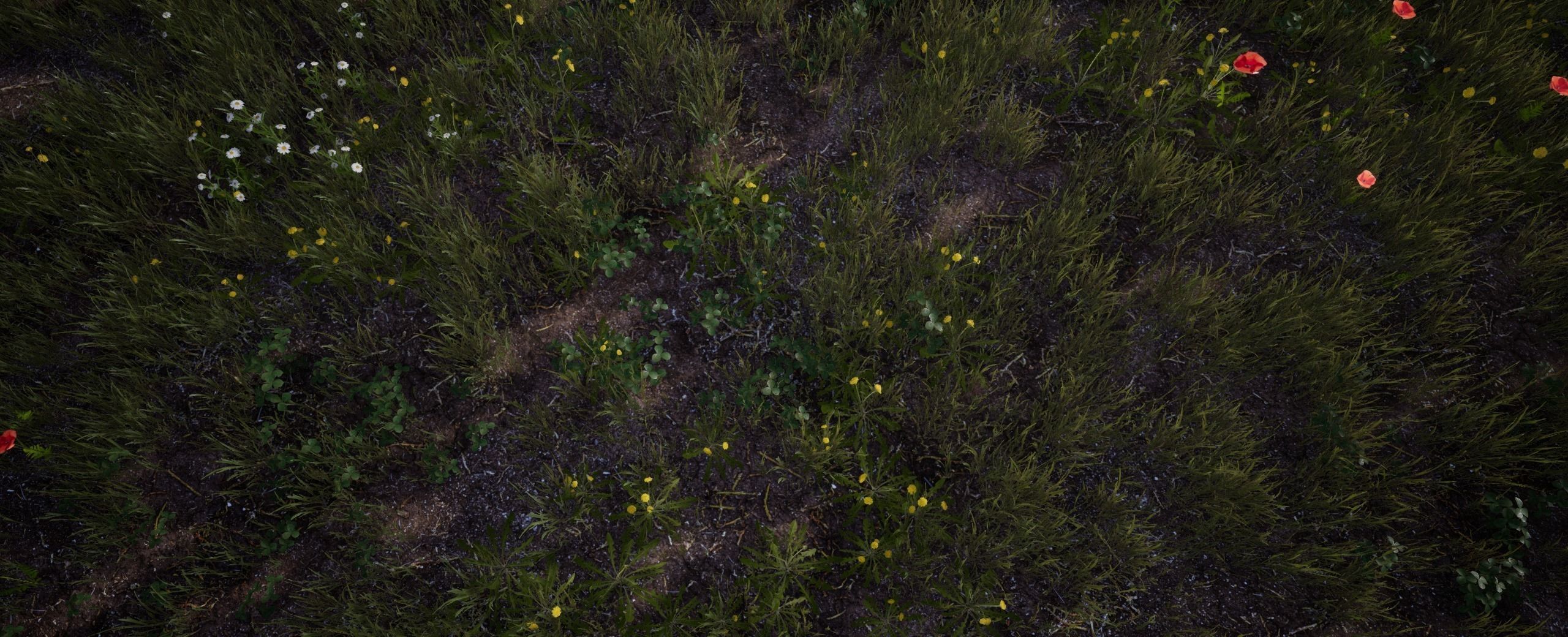 Clover European foliage 8 of 20 Low-poly 3D model Low-poly 3D model_4