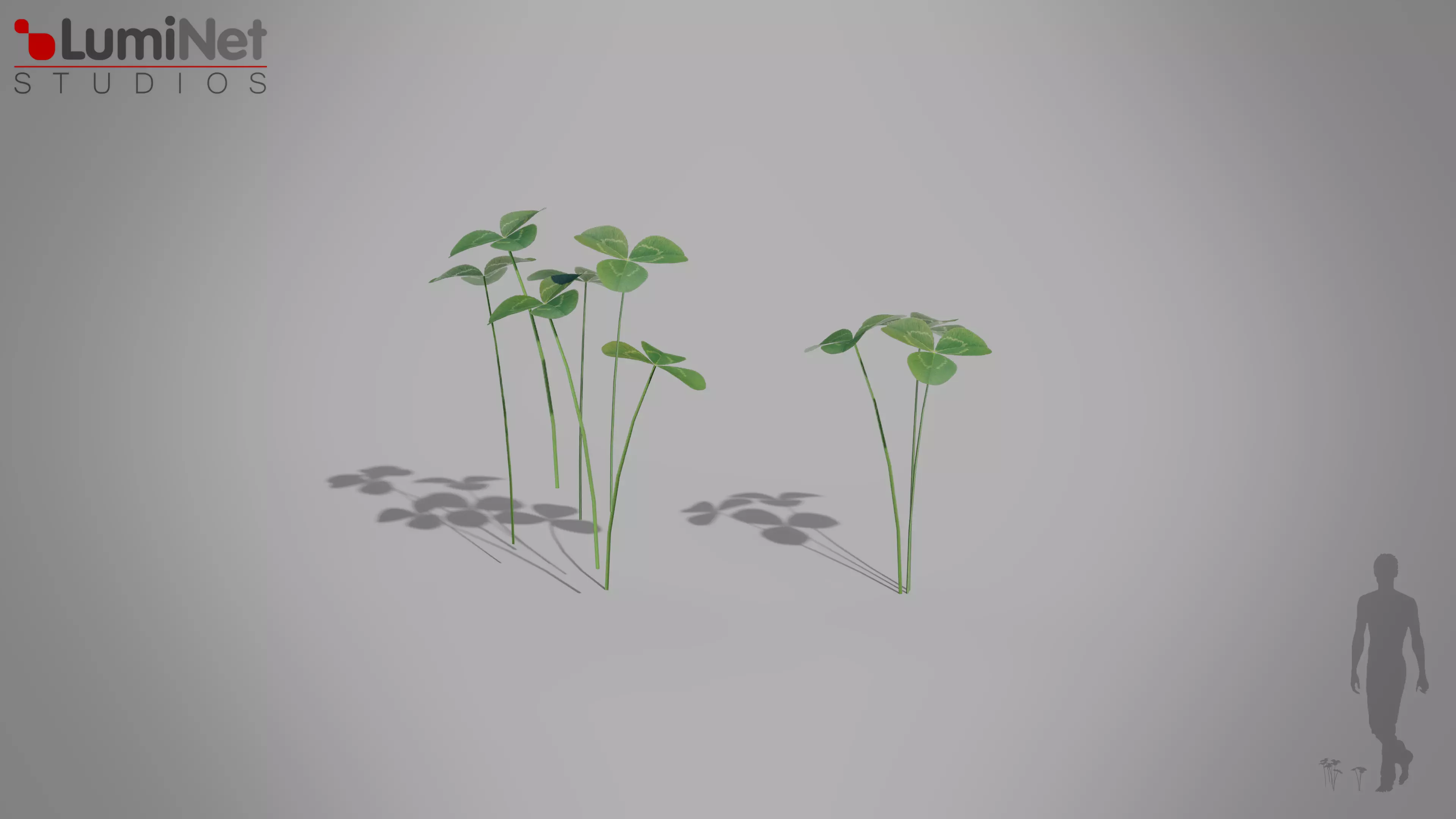 Clover European foliage 8 of 20 Low-poly 3D model Low-poly 3D model_0
