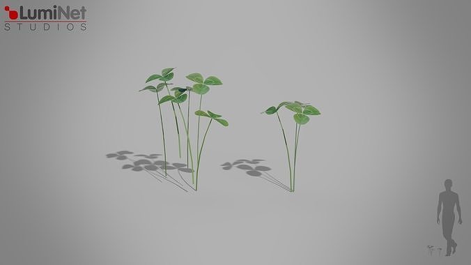 Clover European foliage 8 of 20 Low-poly 3D model Low-poly 3D model