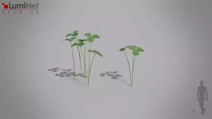 Clover European foliage 8 of 20 Low-poly 3D model Low-poly 3D model
