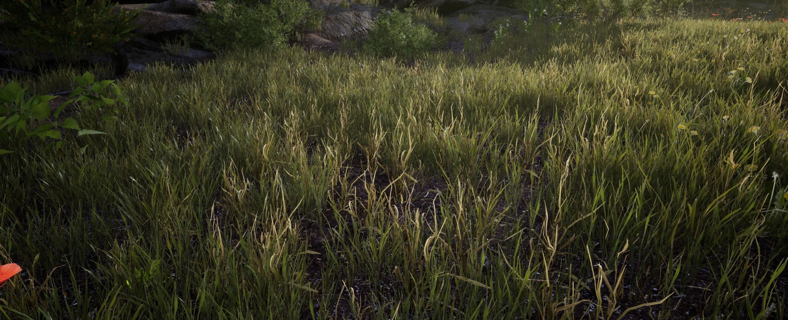 DryGrass European foliage 11 of 20 Low-poly 3D model Low-poly 3D model_2