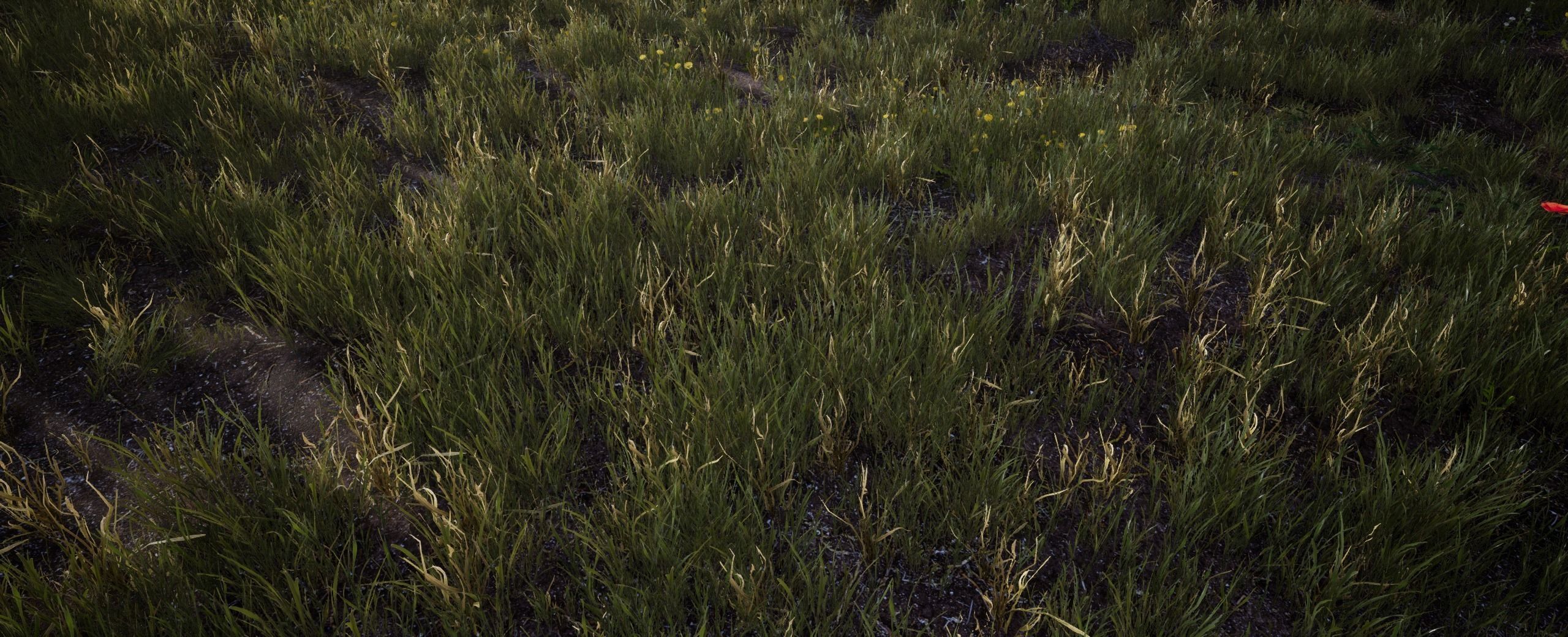 DryGrass European foliage 11 of 20 Low-poly 3D model Low-poly 3D model_5