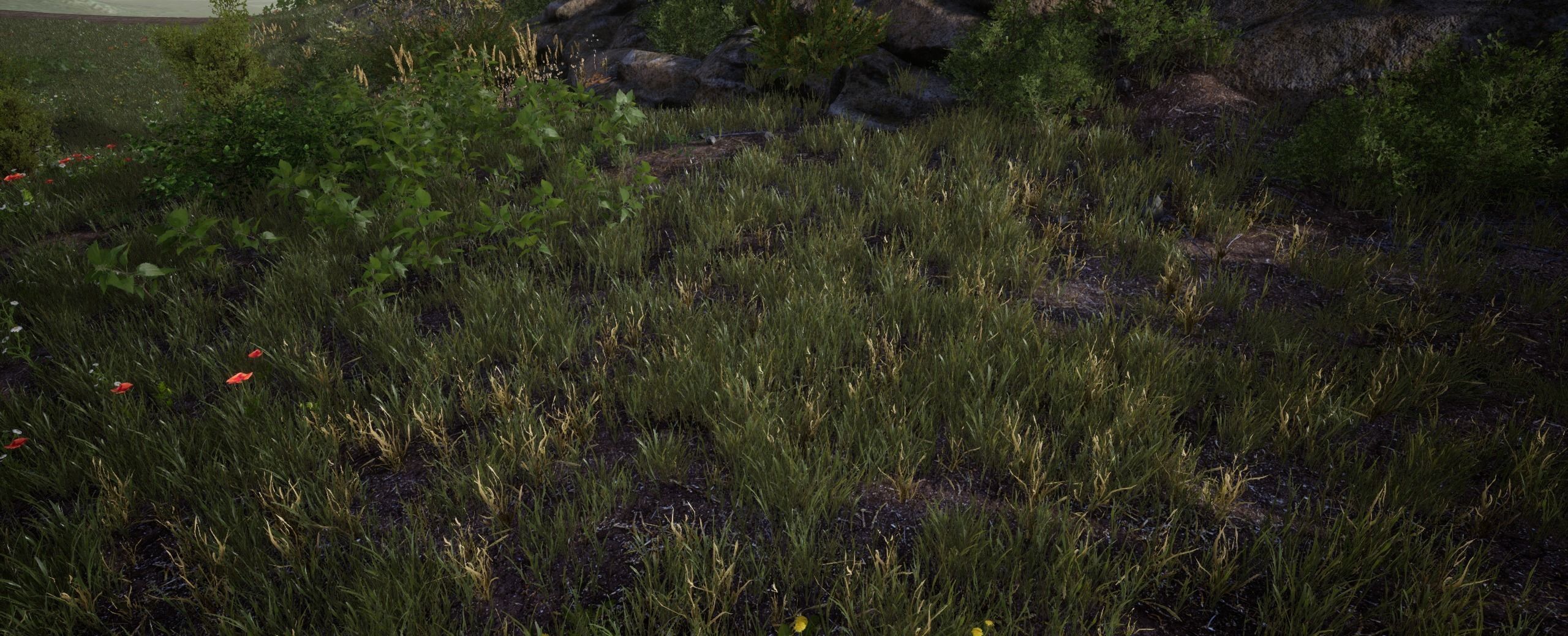 DryGrass European foliage 11 of 20 Low-poly 3D model Low-poly 3D model_3