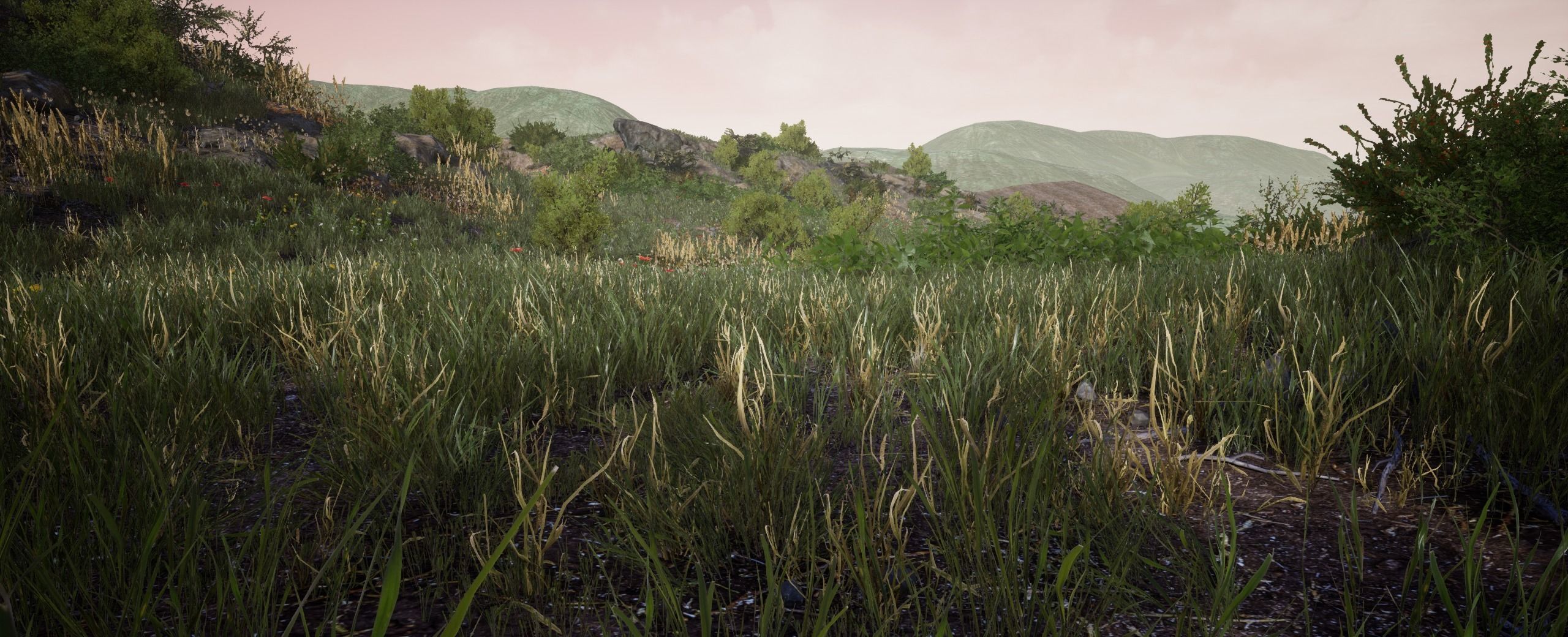 DryGrass European foliage 11 of 20 Low-poly 3D model Low-poly 3D model_4