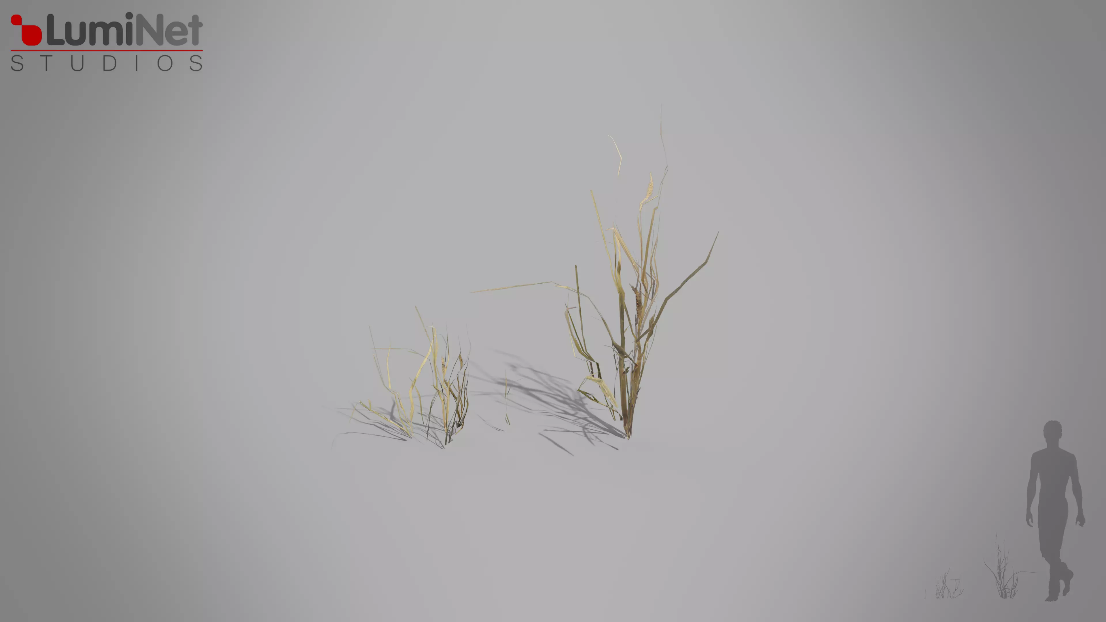 DryGrass European foliage 11 of 20 Low-poly 3D model Low-poly 3D model_0