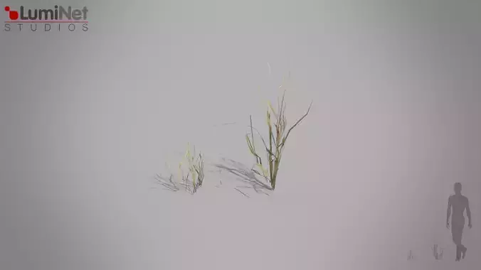 DryGrass European foliage 11 of 20 Low-poly 3D model