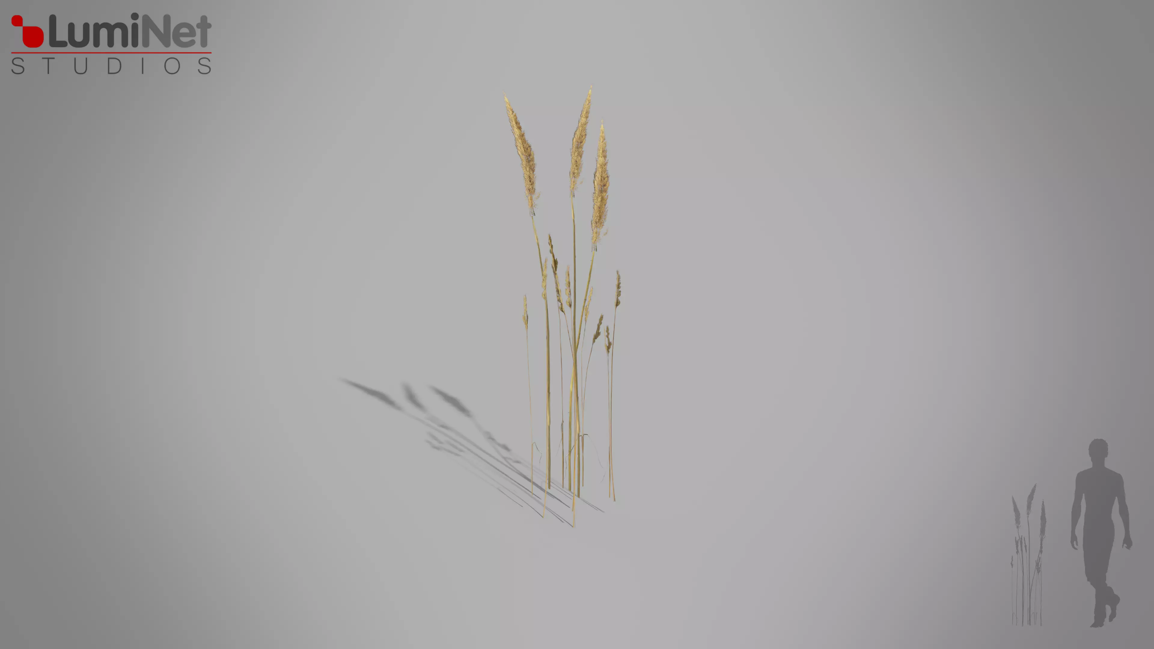 GlyceriaMaxima European foliage 12 of 20 Low-poly 3D model Low-poly 3D model_0