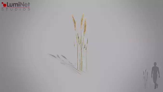 GlyceriaMaxima European foliage 12 of 20 Low-poly 3D model