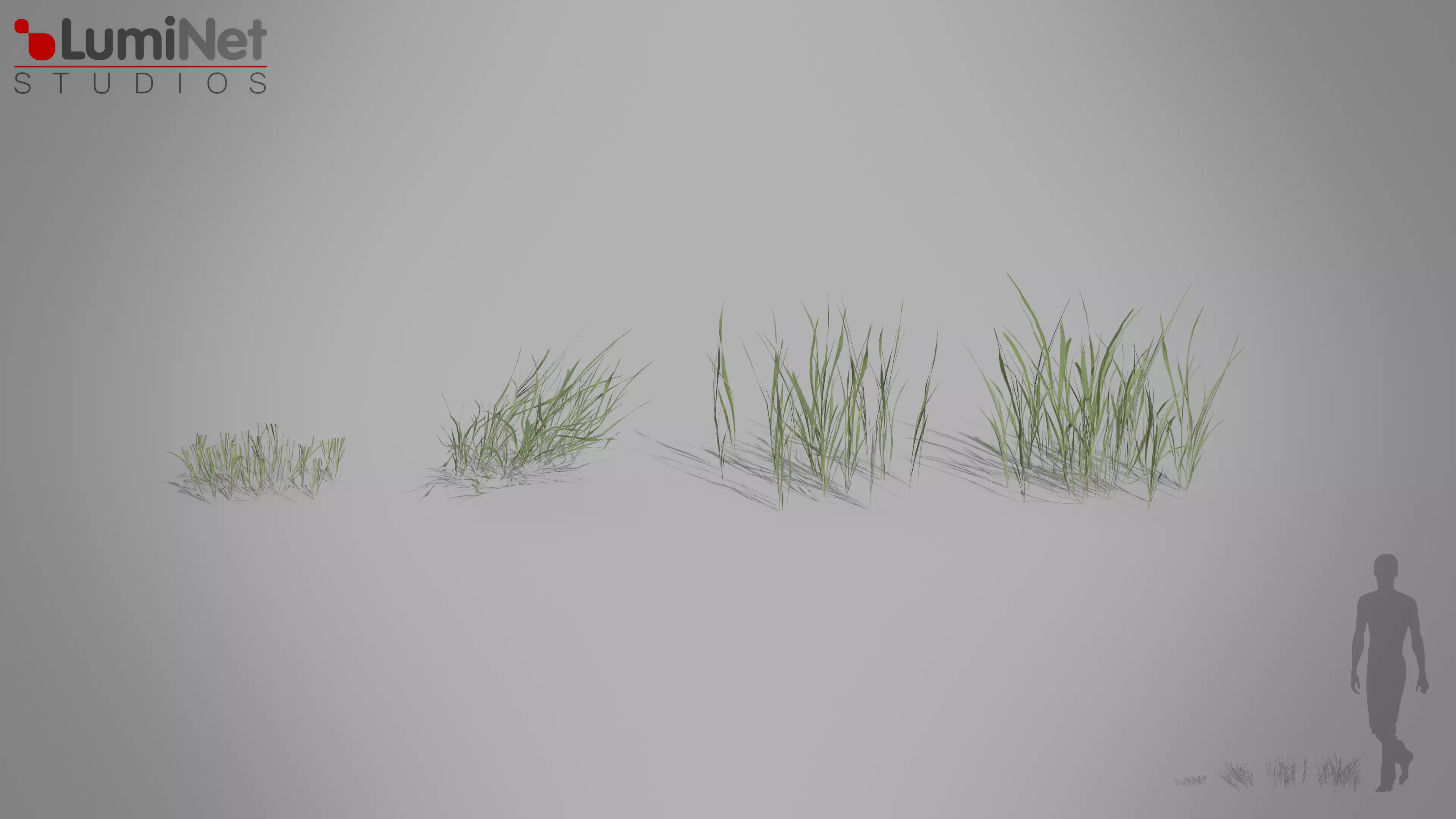 Grass European foliage 13 of 20 Low-poly 3D model Low-poly 3D model