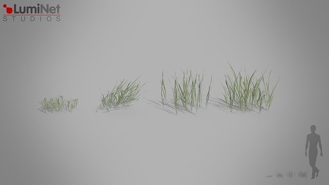 Grass European foliage 13 of 20 Low-poly 3D model Low-poly 3D model