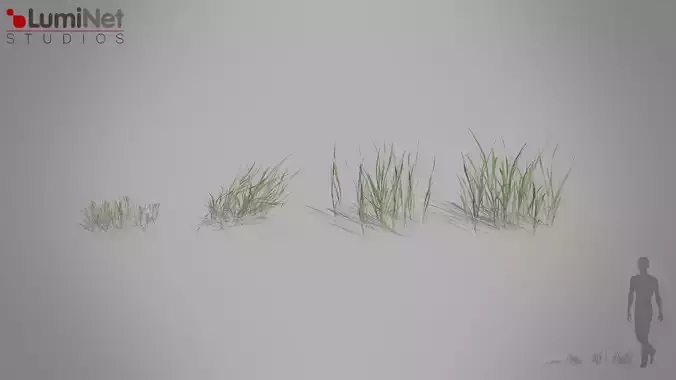 Grass European foliage 13 of 20 Low-poly 3D model