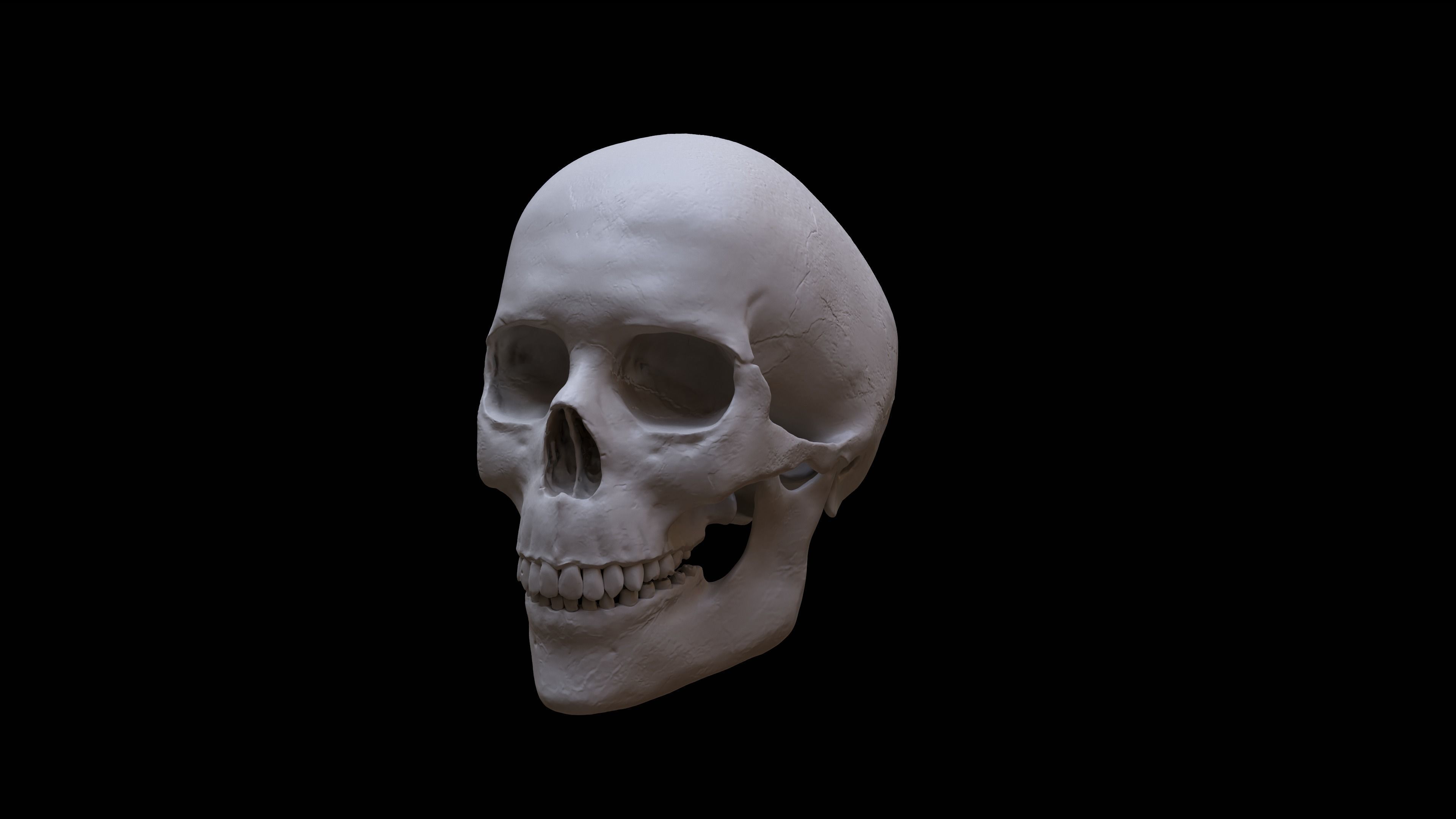 Human Skull 3D model_2