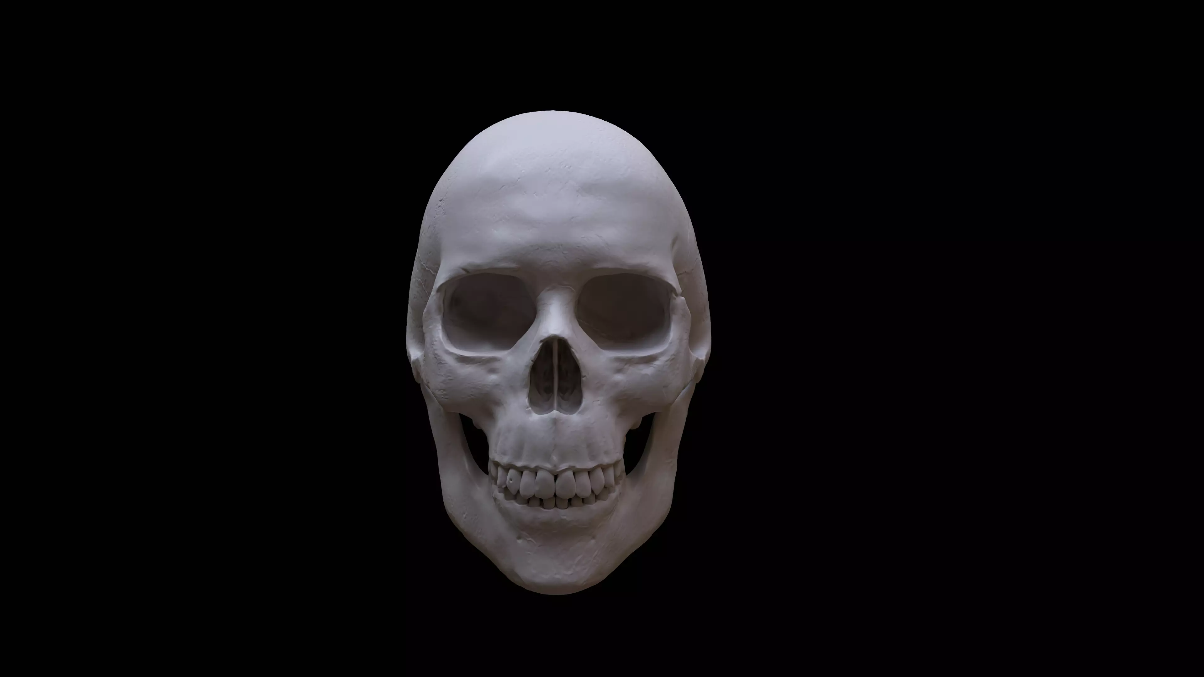 Human Skull 3D model_0