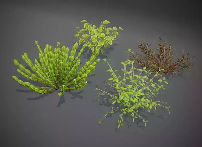 Cartoon Savanna Bushes and Shrubs 3D Model