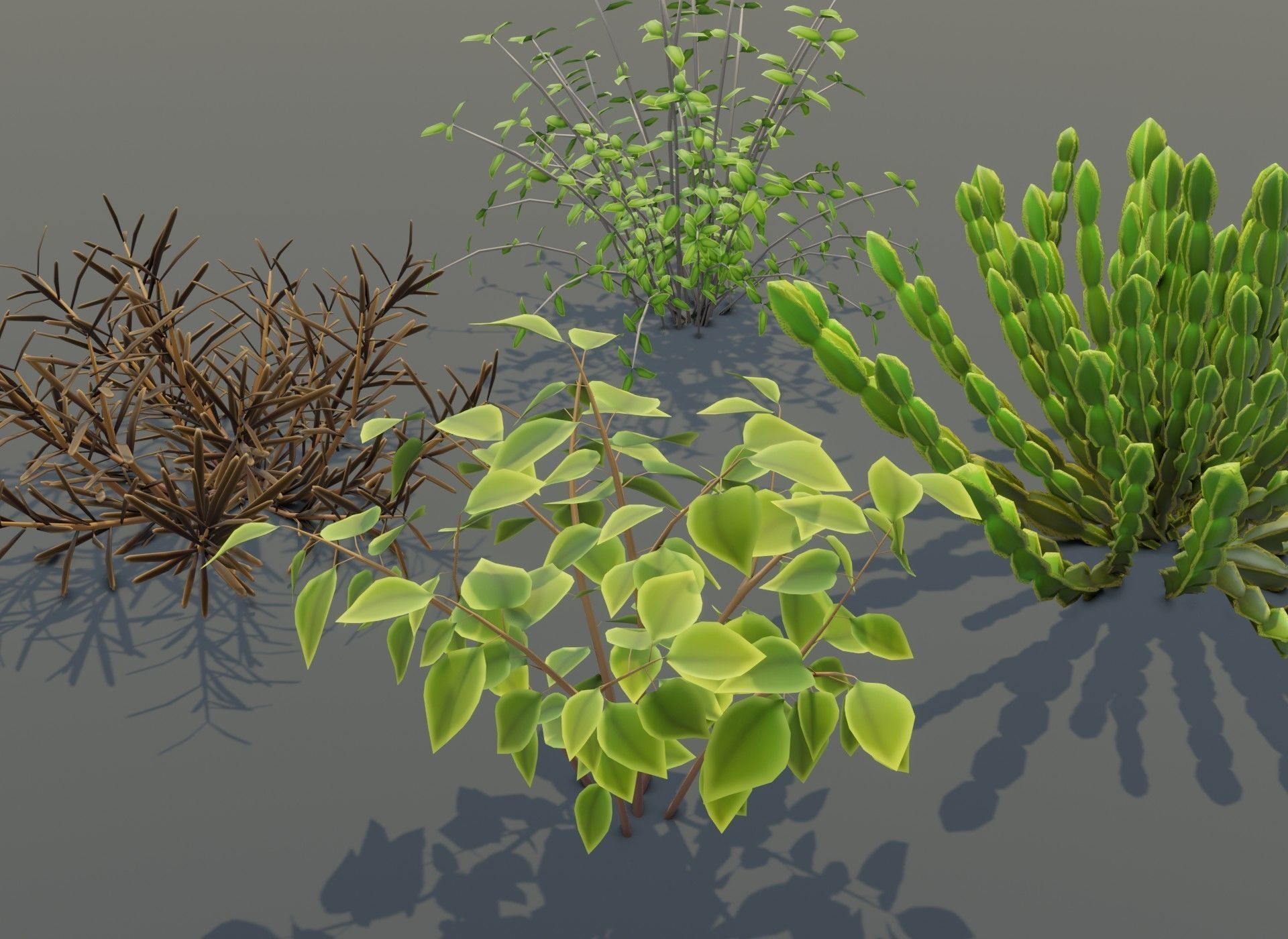 Cartoon Savanna Bushes and Shrubs 3D Model Low-poly 3D model_19