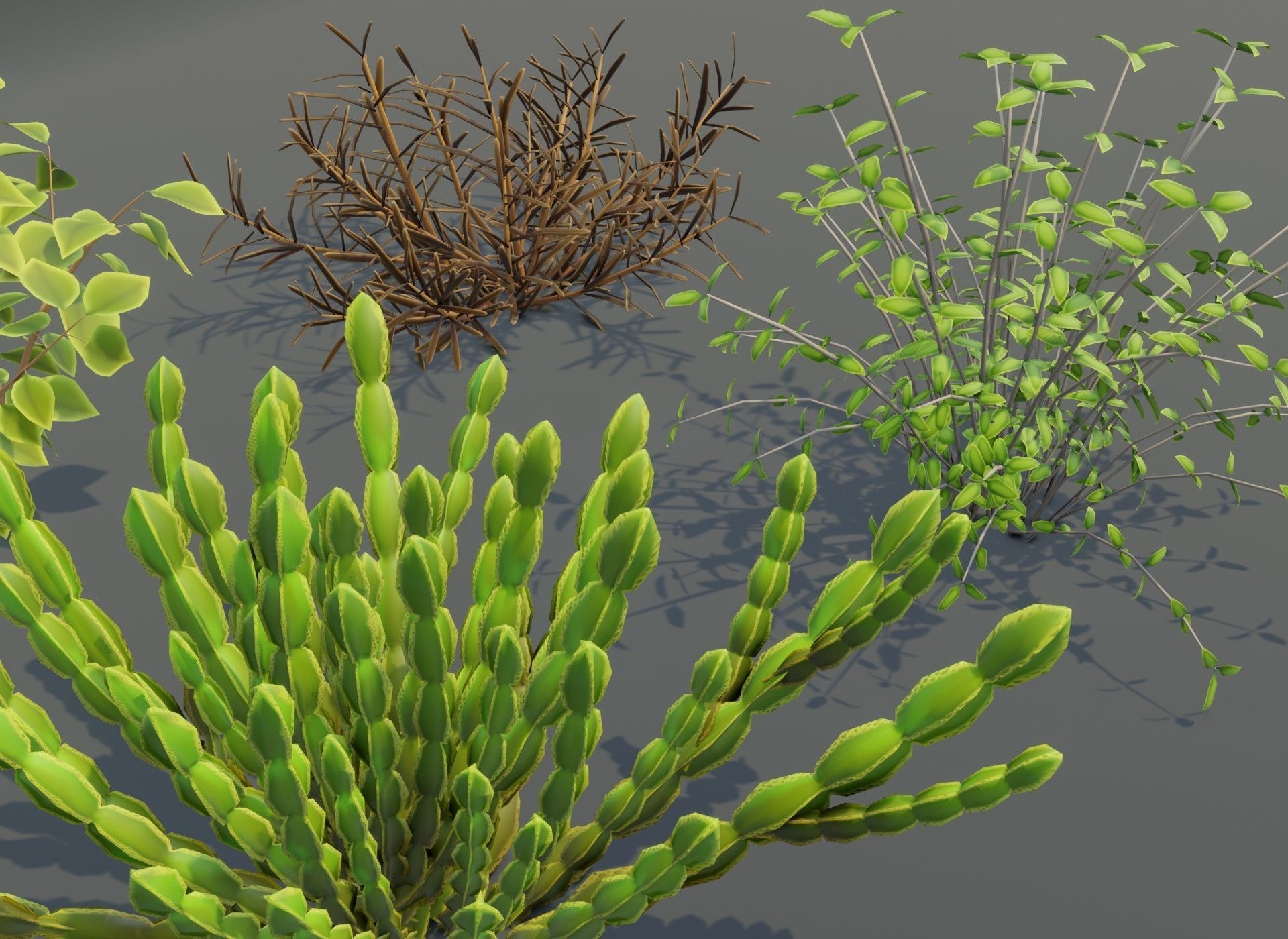 Cartoon Savanna Bushes and Shrubs 3D Model Low-poly 3D model_10