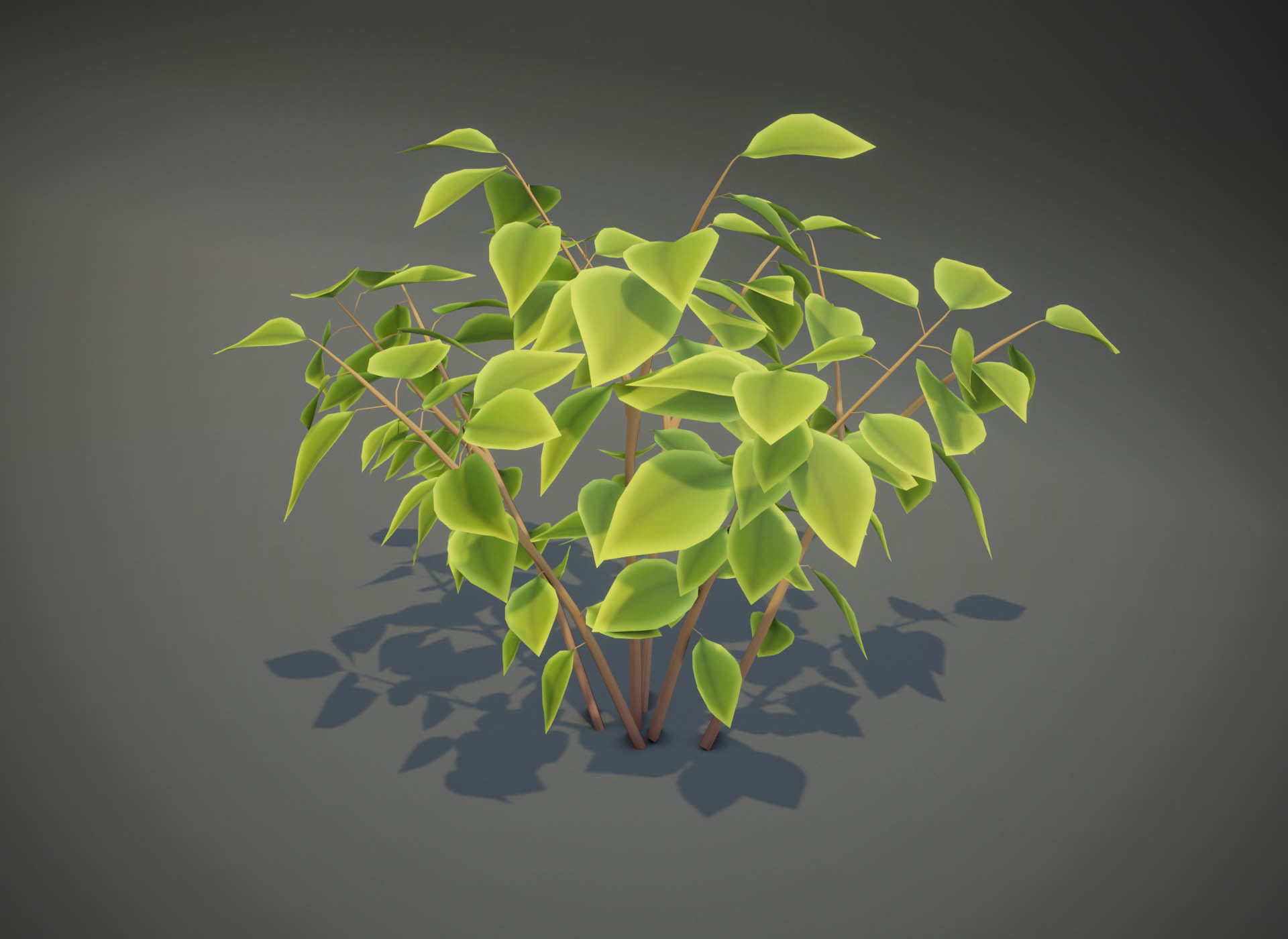 Cartoon Savanna Bushes and Shrubs 3D Model Low-poly 3D model_4