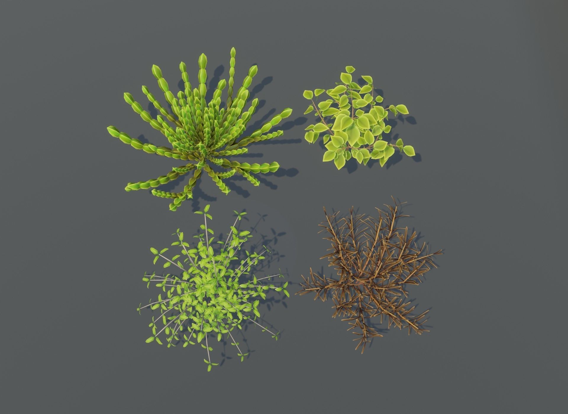 Cartoon Savanna Bushes and Shrubs 3D Model Low-poly 3D model_13