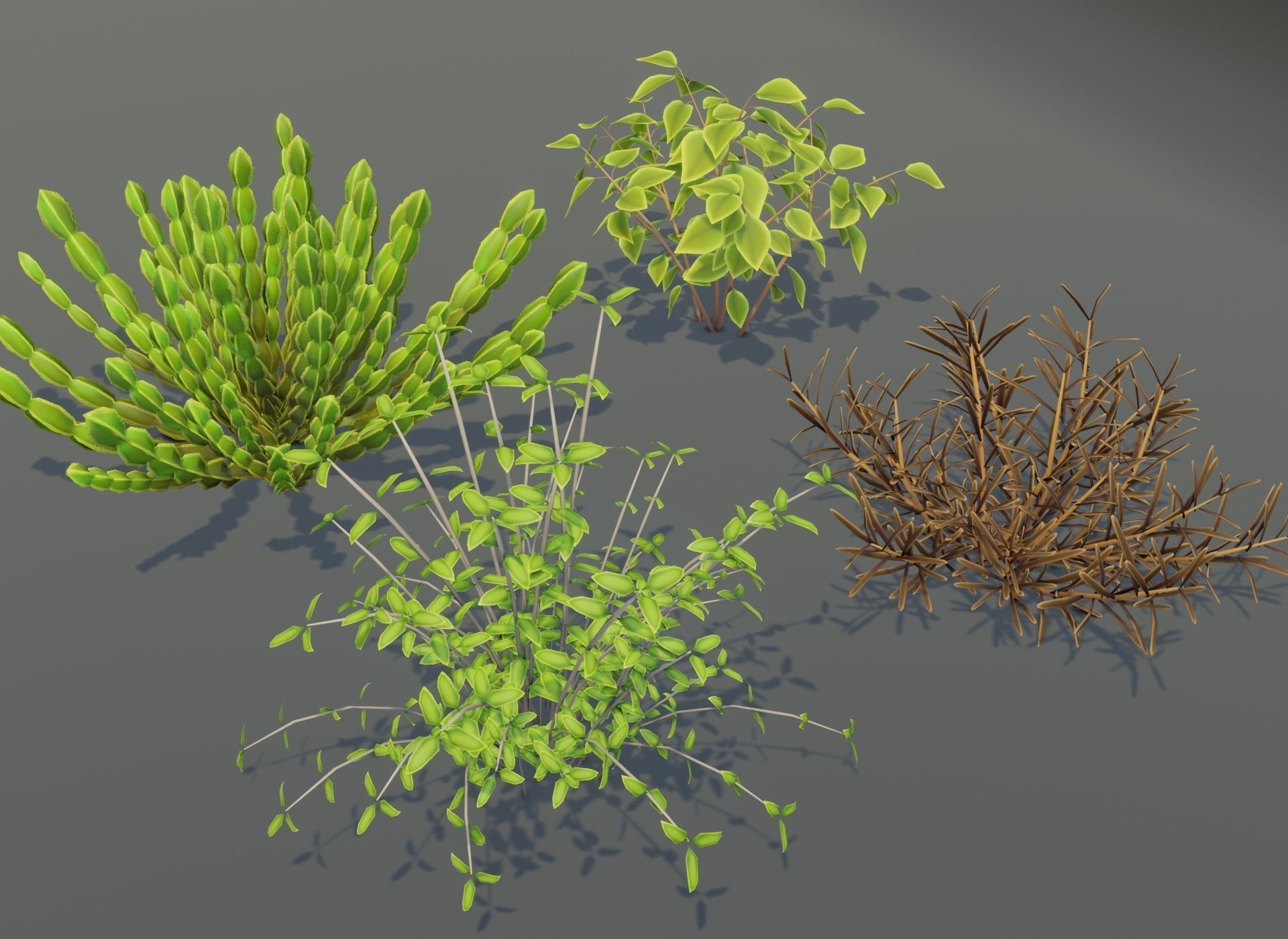 Cartoon Savanna Bushes and Shrubs 3D Model Low-poly 3D model_7