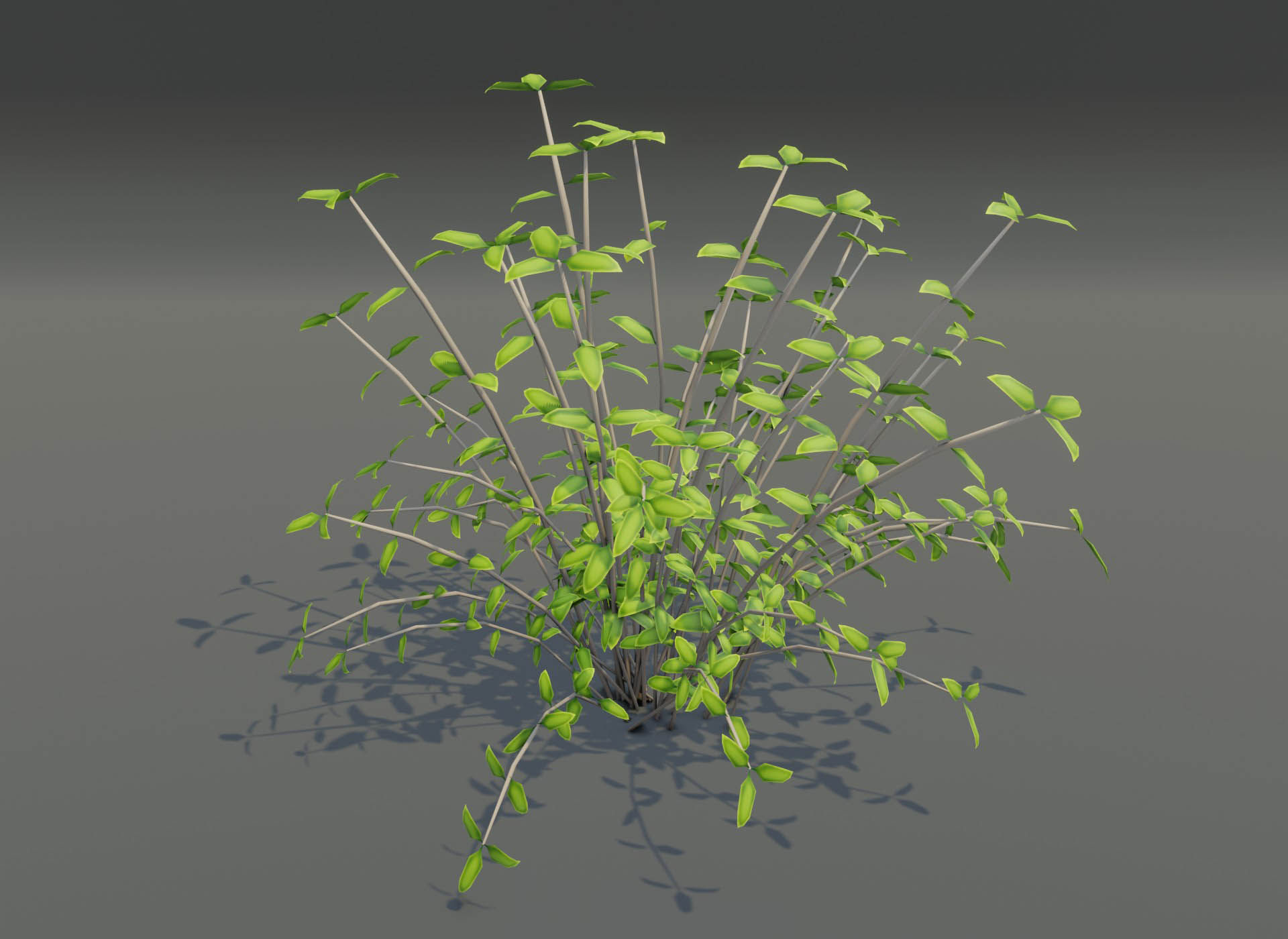 Cartoon Savanna Bushes and Shrubs 3D Model Low-poly 3D model_6