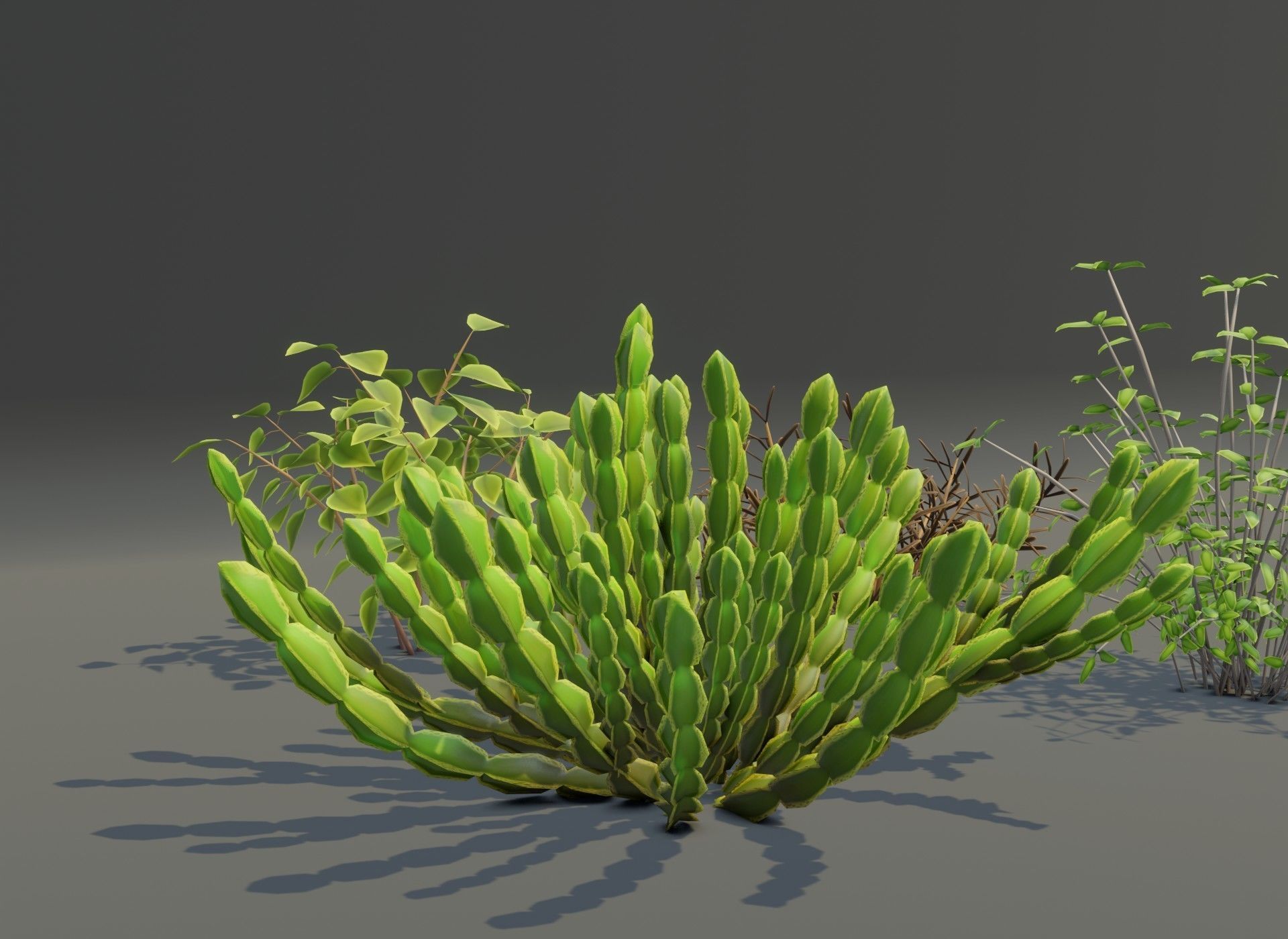 Cartoon Savanna Bushes and Shrubs 3D Model Low-poly 3D model_18