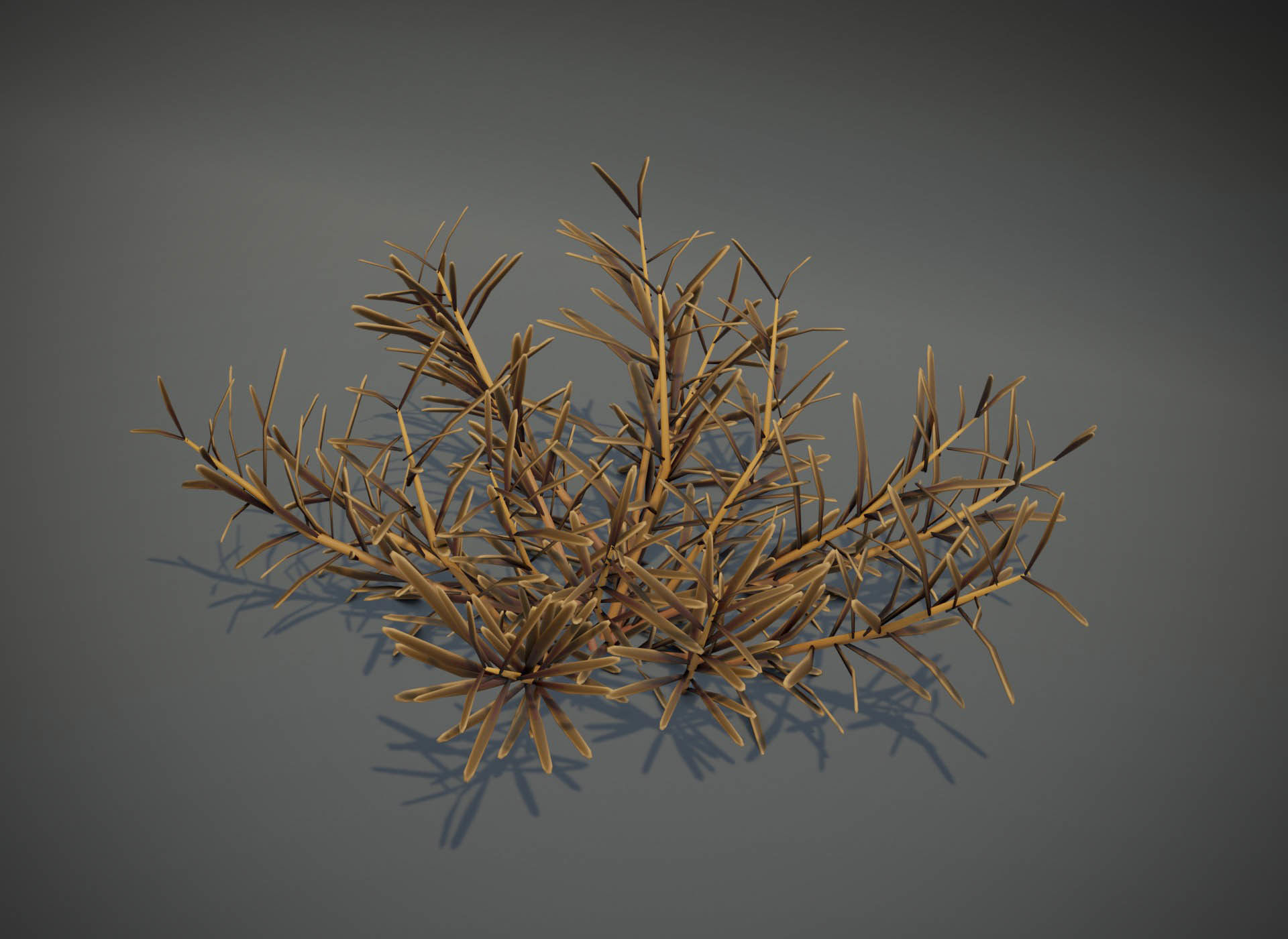 Cartoon Savanna Bushes and Shrubs 3D Model Low-poly 3D model_5