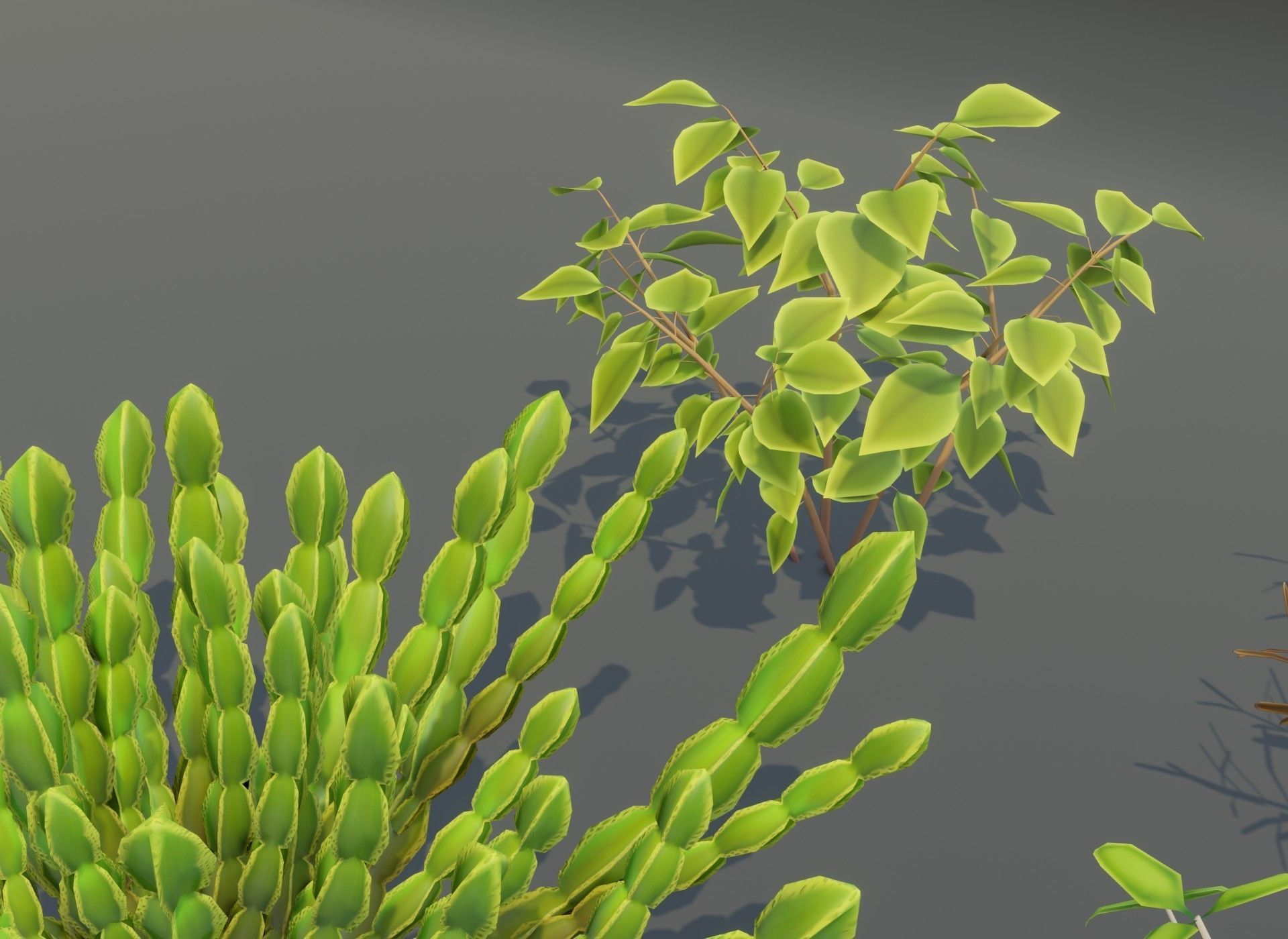 Cartoon Savanna Bushes and Shrubs 3D Model Low-poly 3D model_17