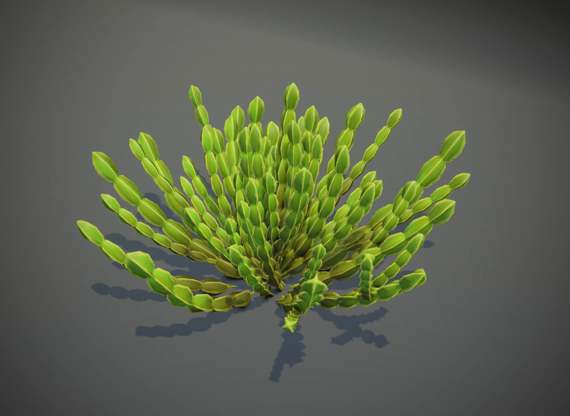 Cartoon Savanna Bushes and Shrubs 3D Model Low-poly 3D model_3