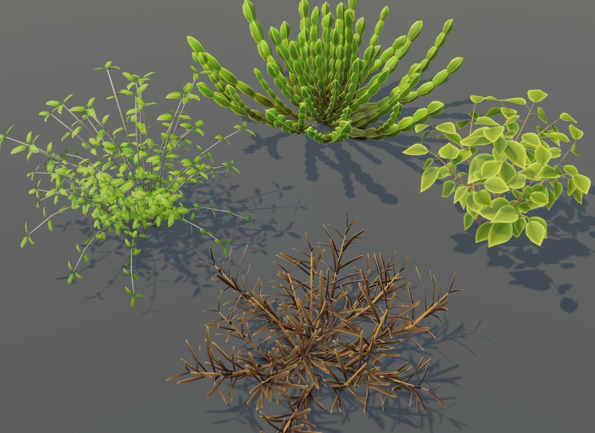 Cartoon Savanna Bushes and Shrubs 3D Model Low-poly 3D model_8