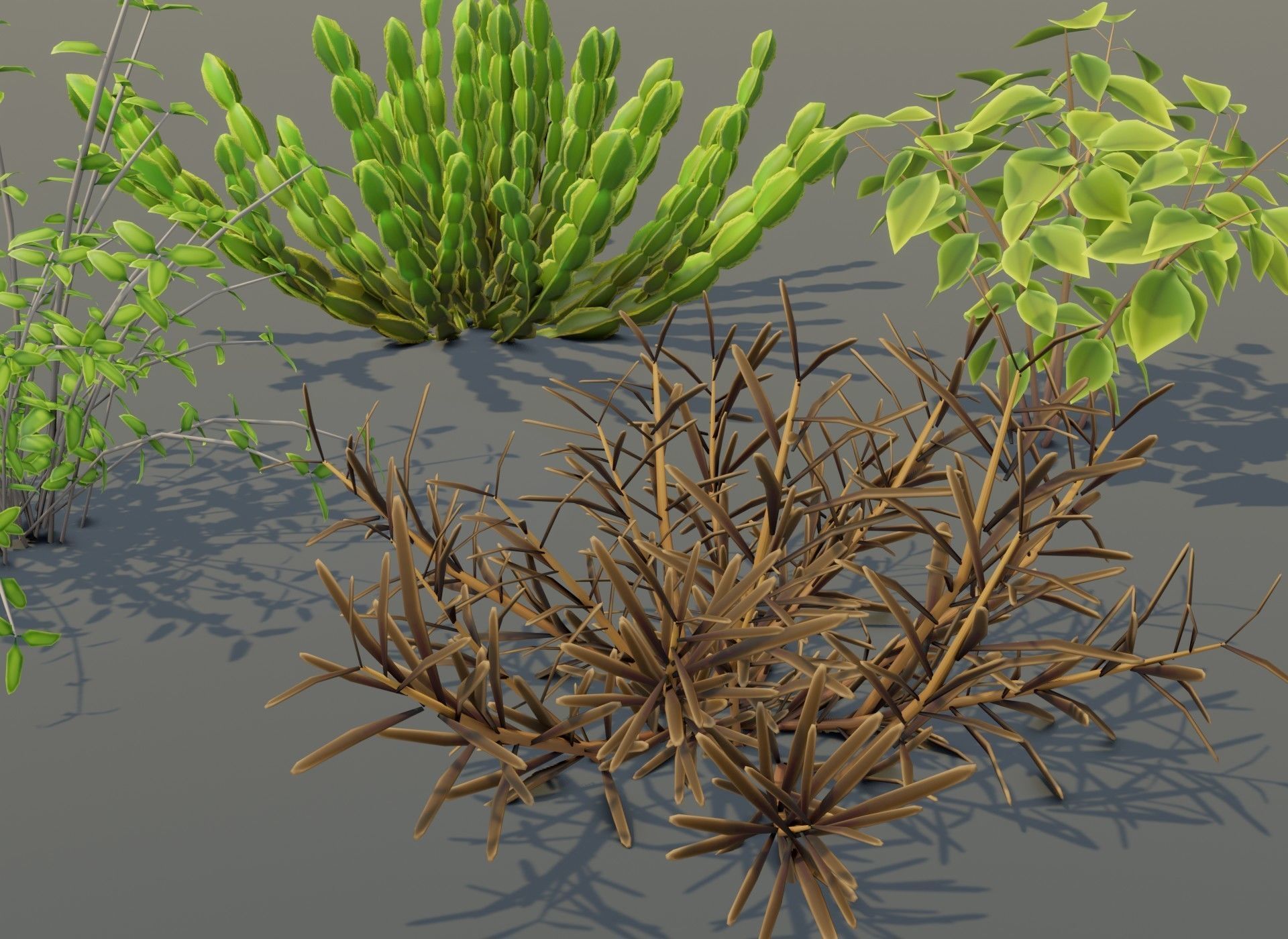 Cartoon Savanna Bushes and Shrubs 3D Model Low-poly 3D model_20