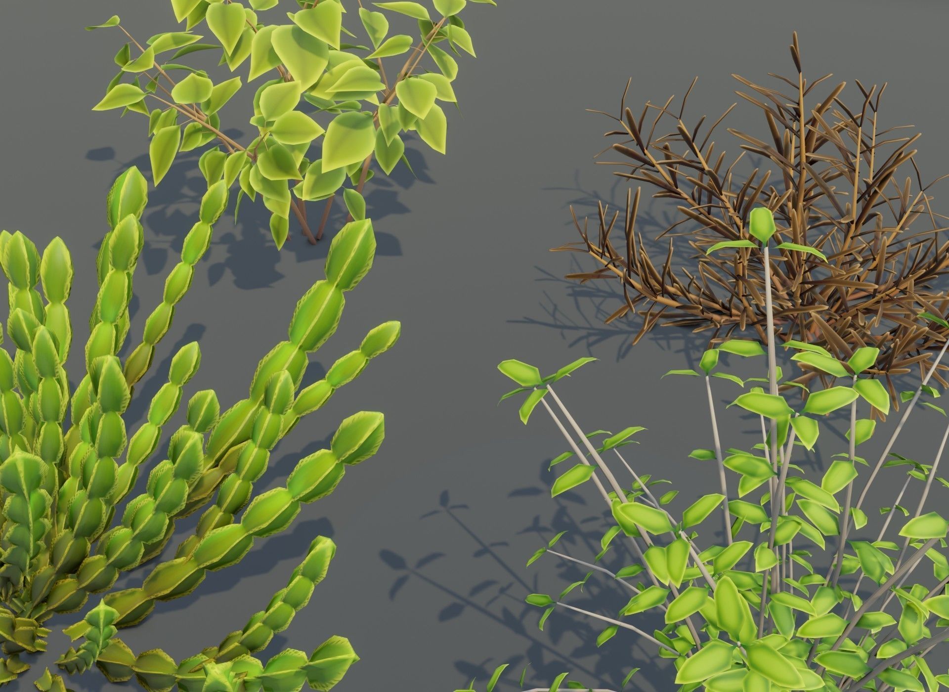 Cartoon Savanna Bushes and Shrubs 3D Model Low-poly 3D model_14