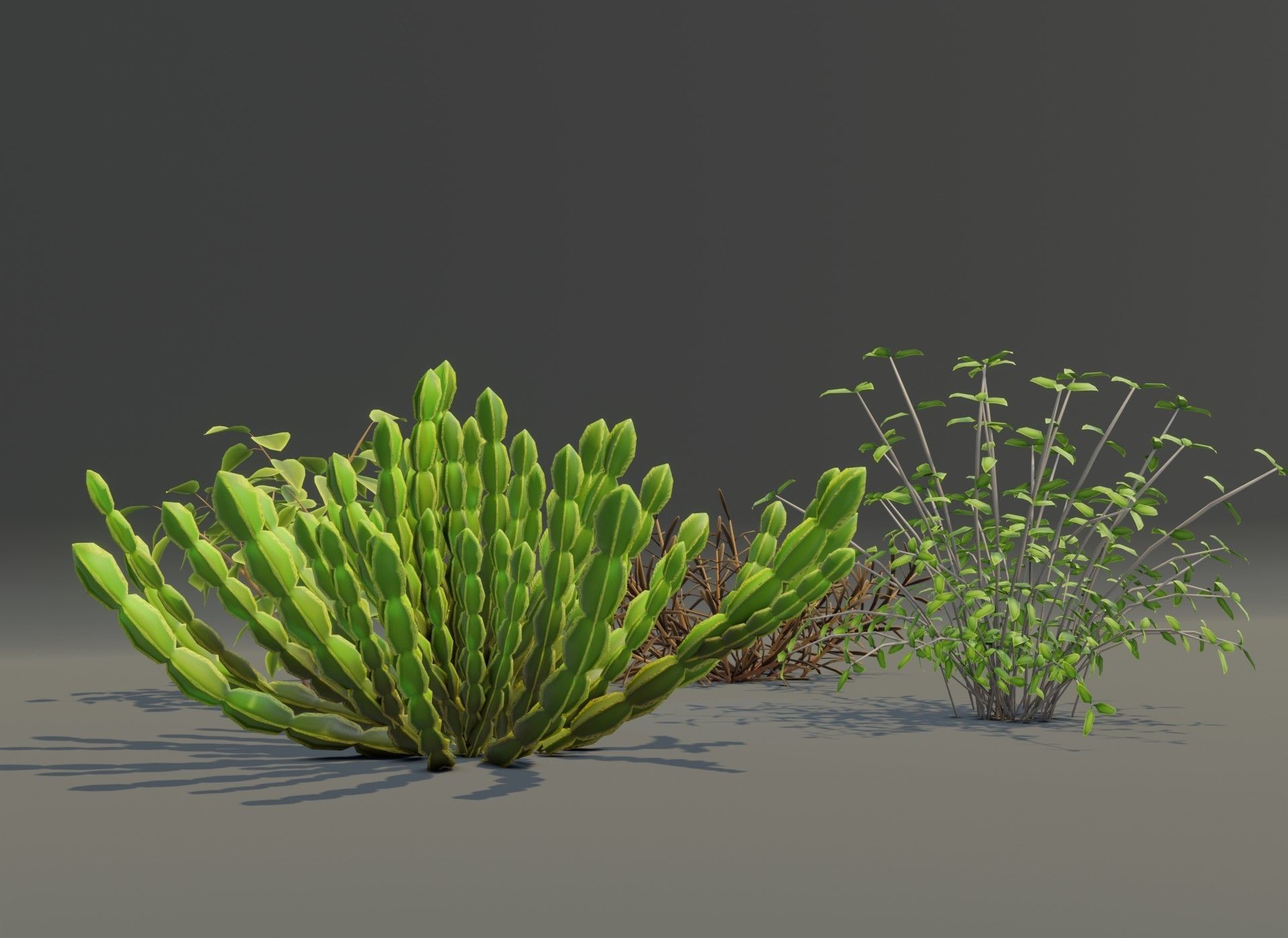 Cartoon Savanna Bushes and Shrubs 3D Model Low-poly 3D model_12