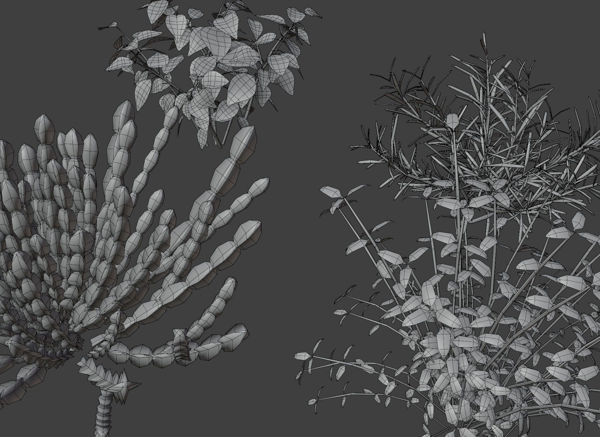 Cartoon Savanna Bushes and Shrubs 3D Model Low-poly 3D model_2