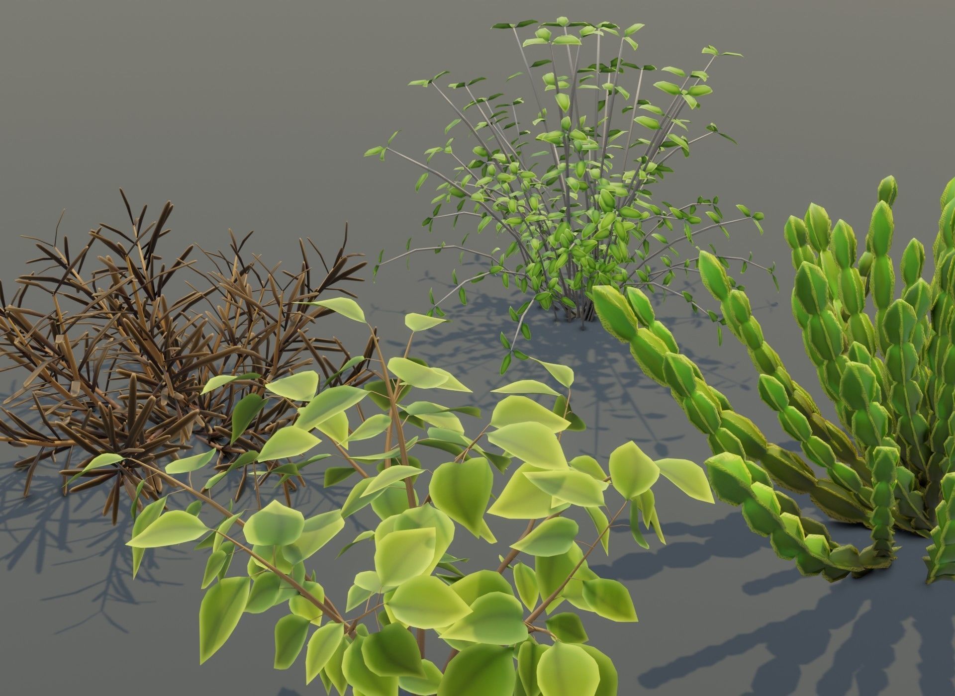 Cartoon Savanna Bushes and Shrubs 3D Model Low-poly 3D model_15