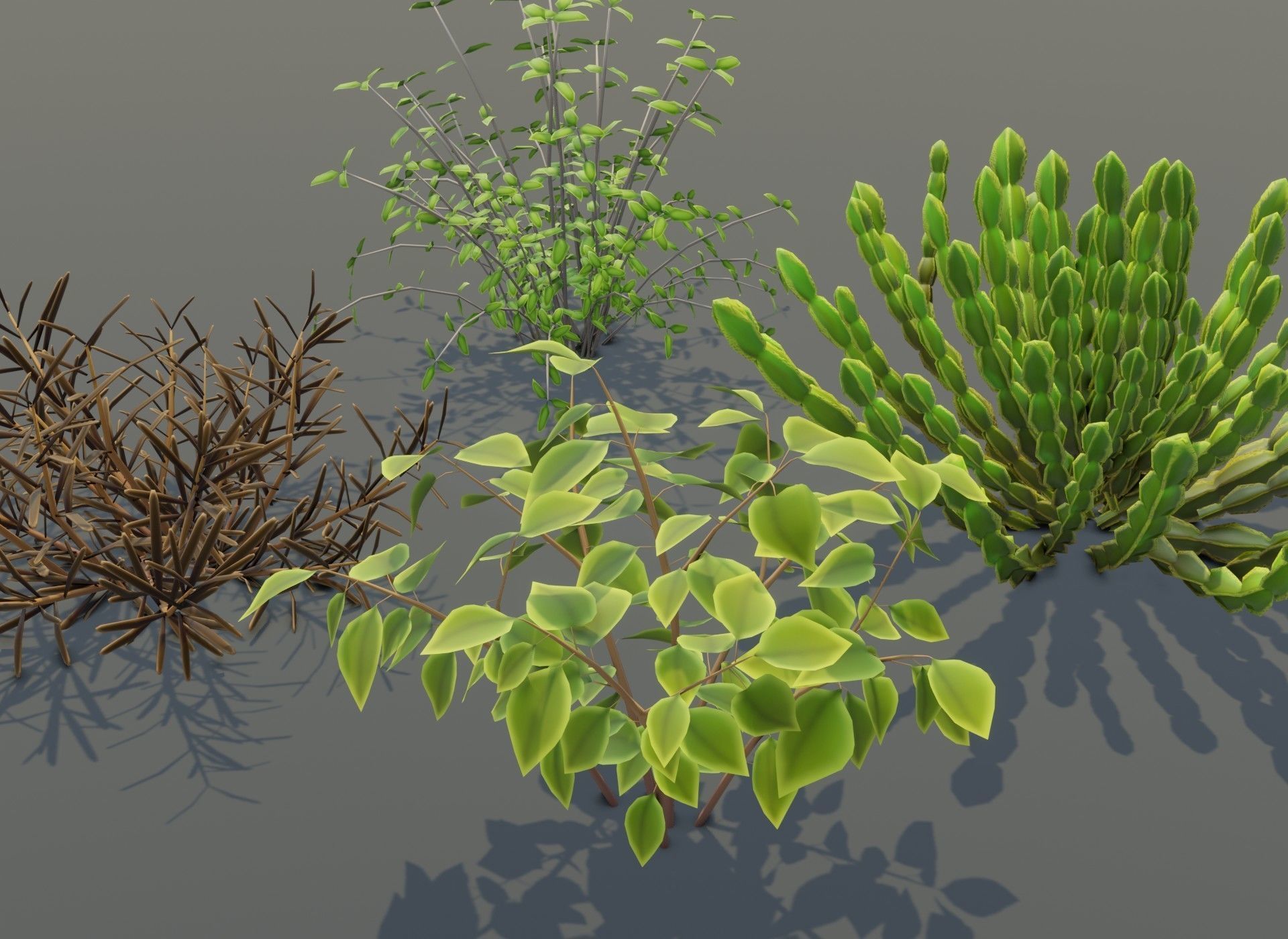 Cartoon Savanna Bushes and Shrubs 3D Model Low-poly 3D model_9