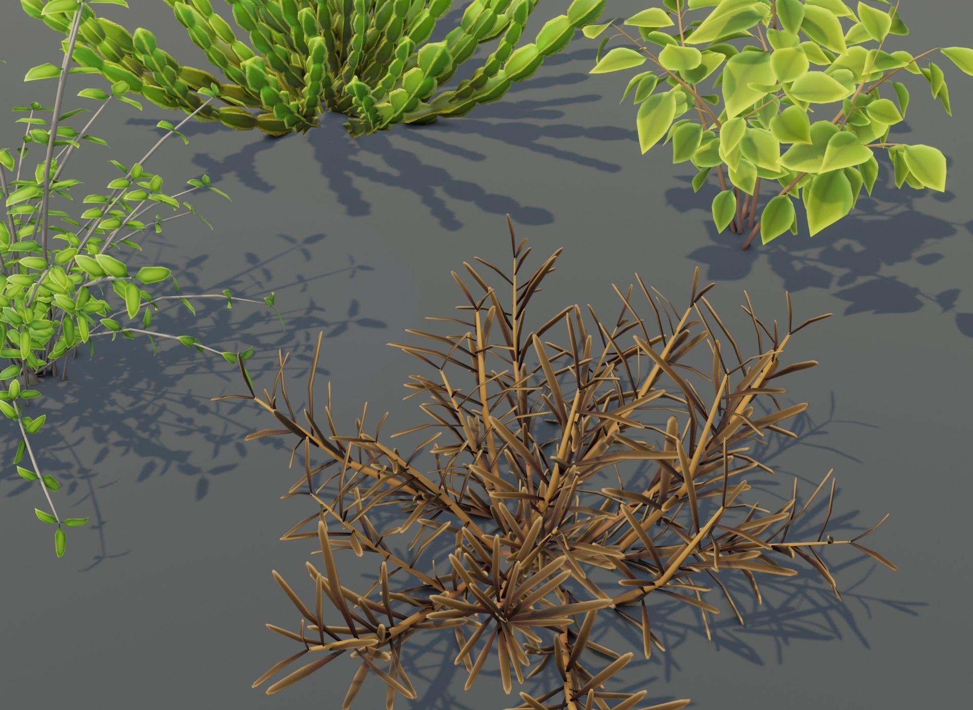 Cartoon Savanna Bushes and Shrubs 3D Model Low-poly 3D model_16